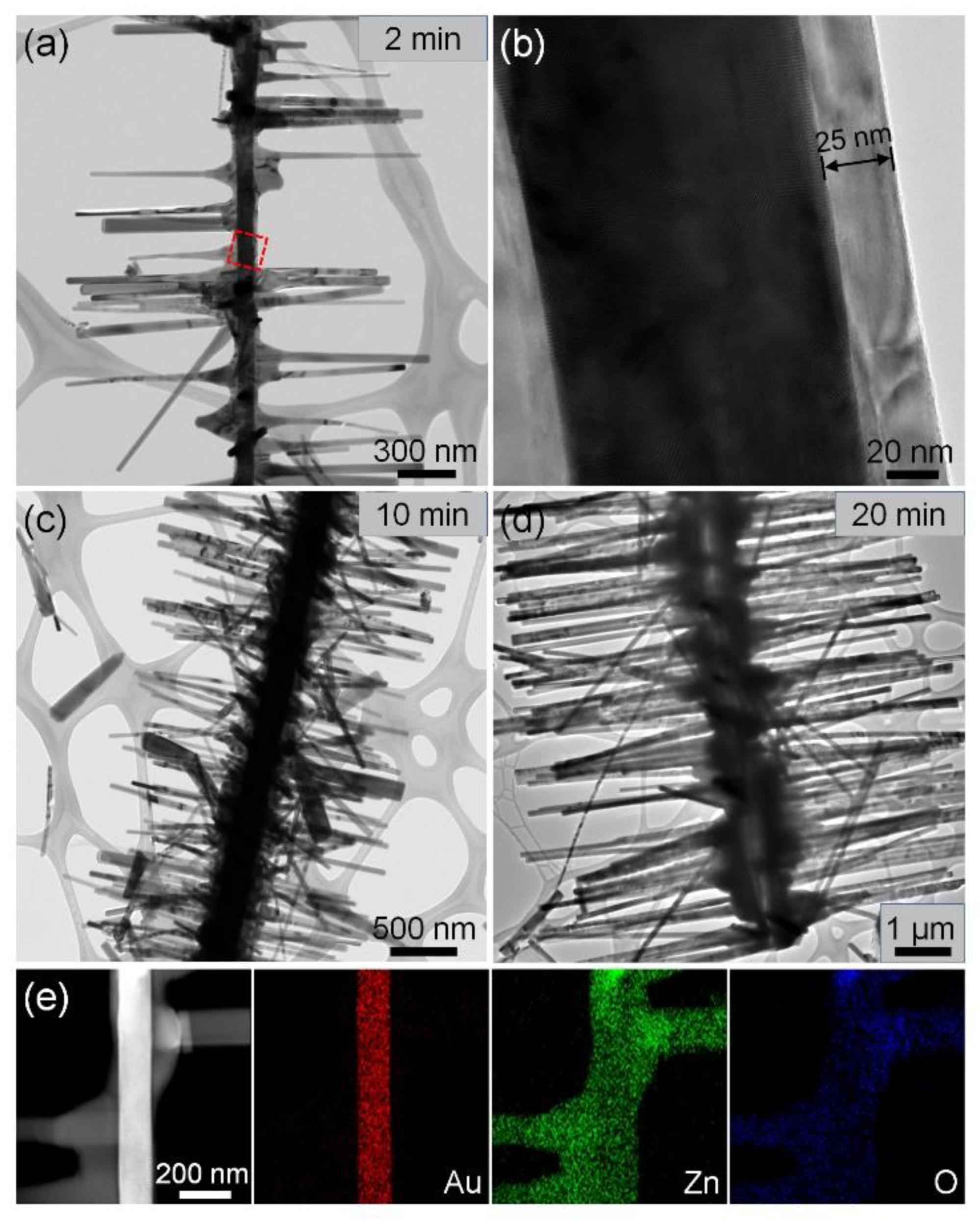 Nanomaterials 11 03262 g002