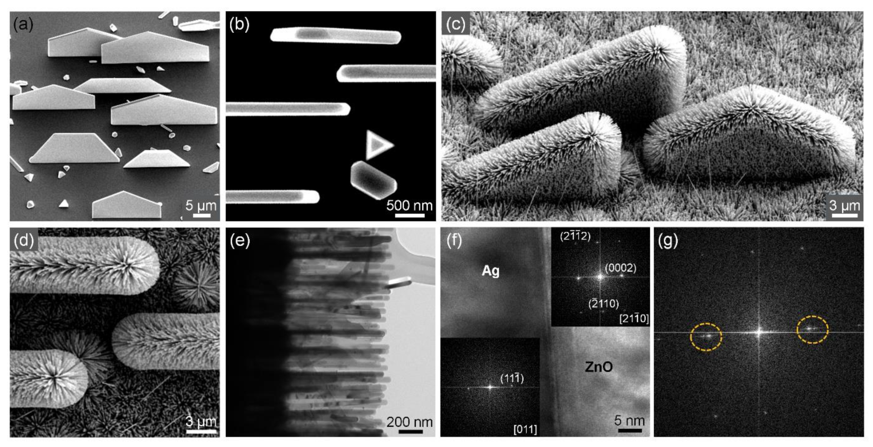 Nanomaterials 11 03262 g004