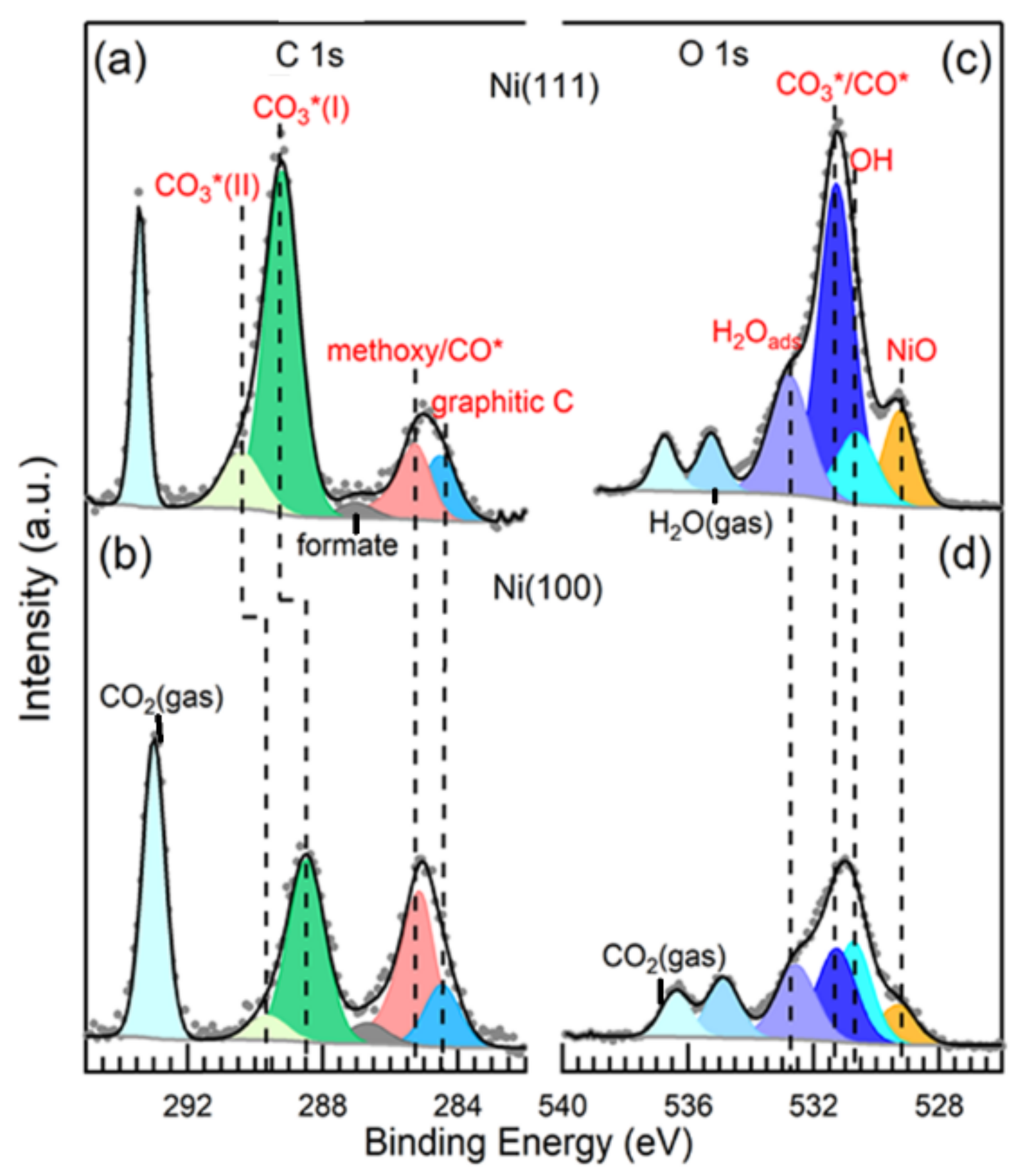 Nanomaterials 11 03265 g013