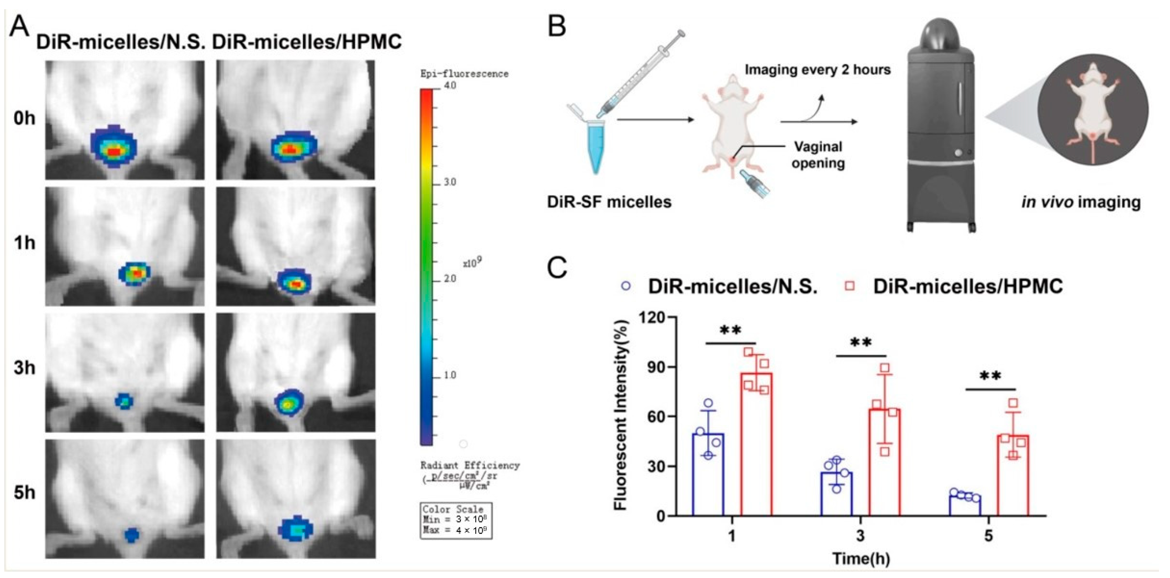 Nanomaterials 11 03271 g006 550