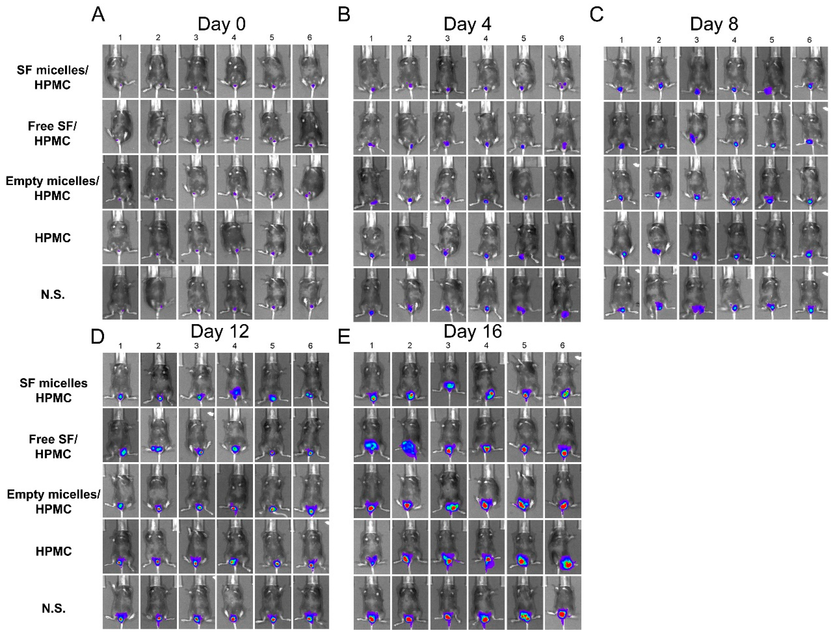 Nanomaterials 11 03271 g0a5 550
