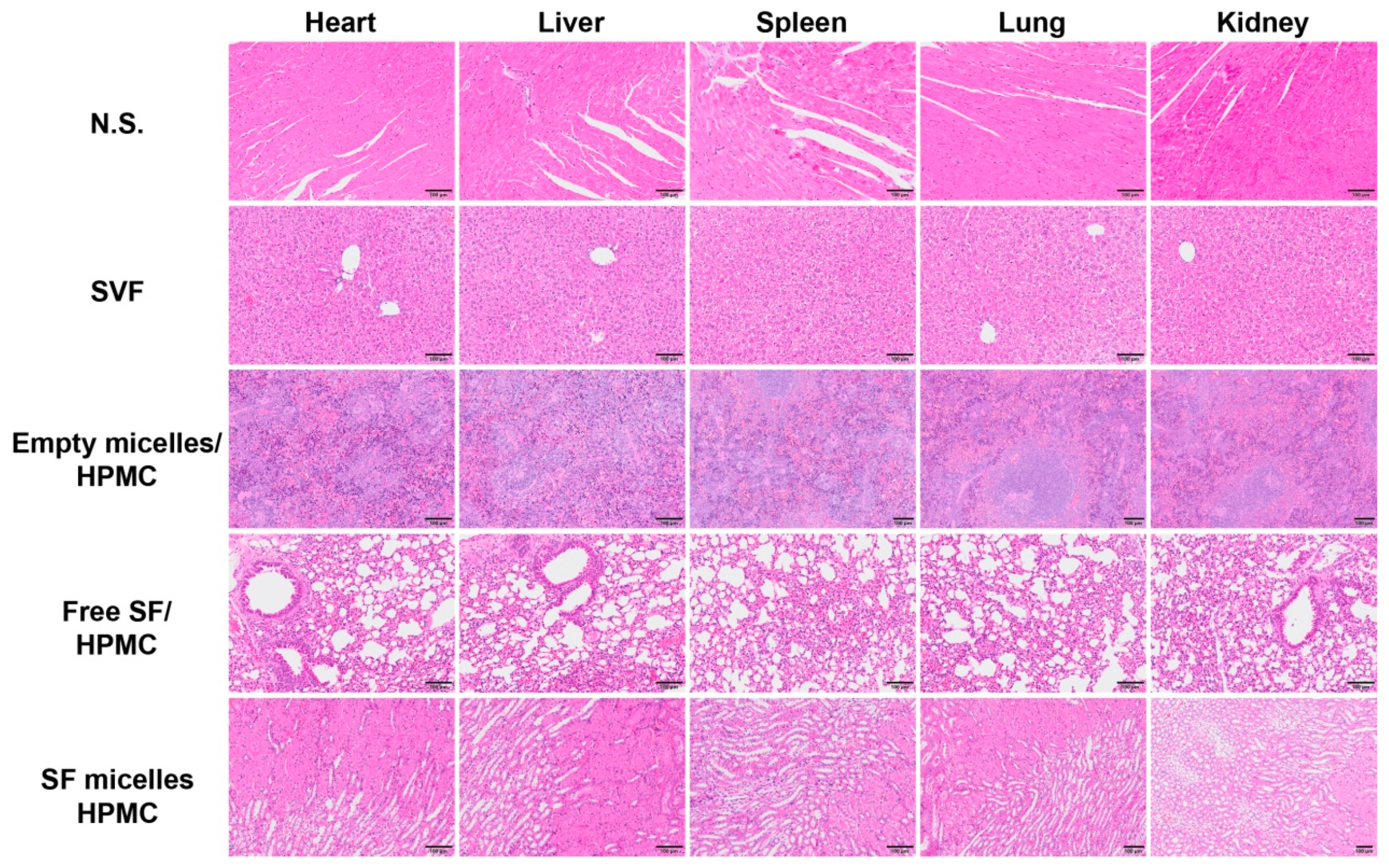 Nanomaterials 11 03271 g0a8 550