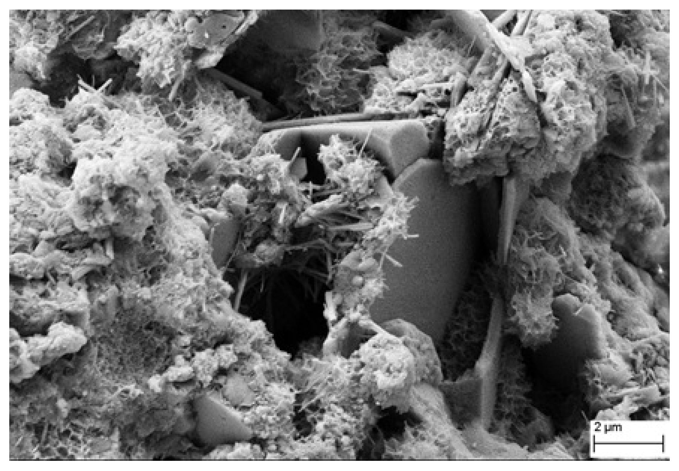 Nanomaterials 11 03278 g012 550