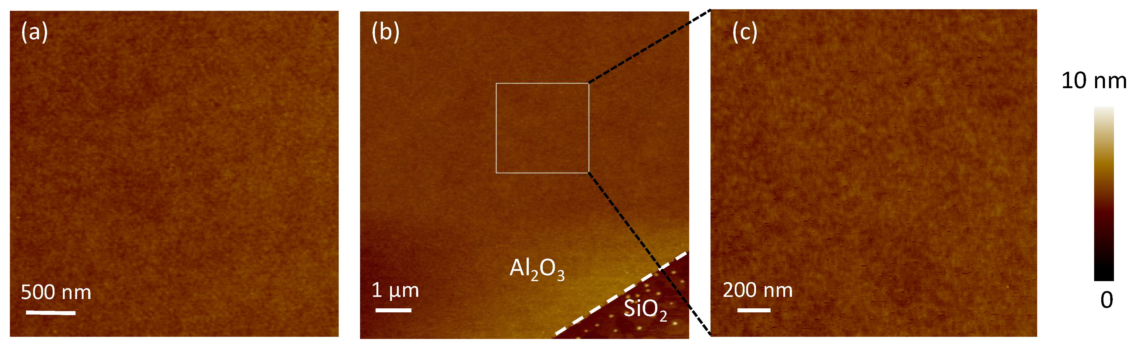 Nanomaterials 11 03282 g001 550