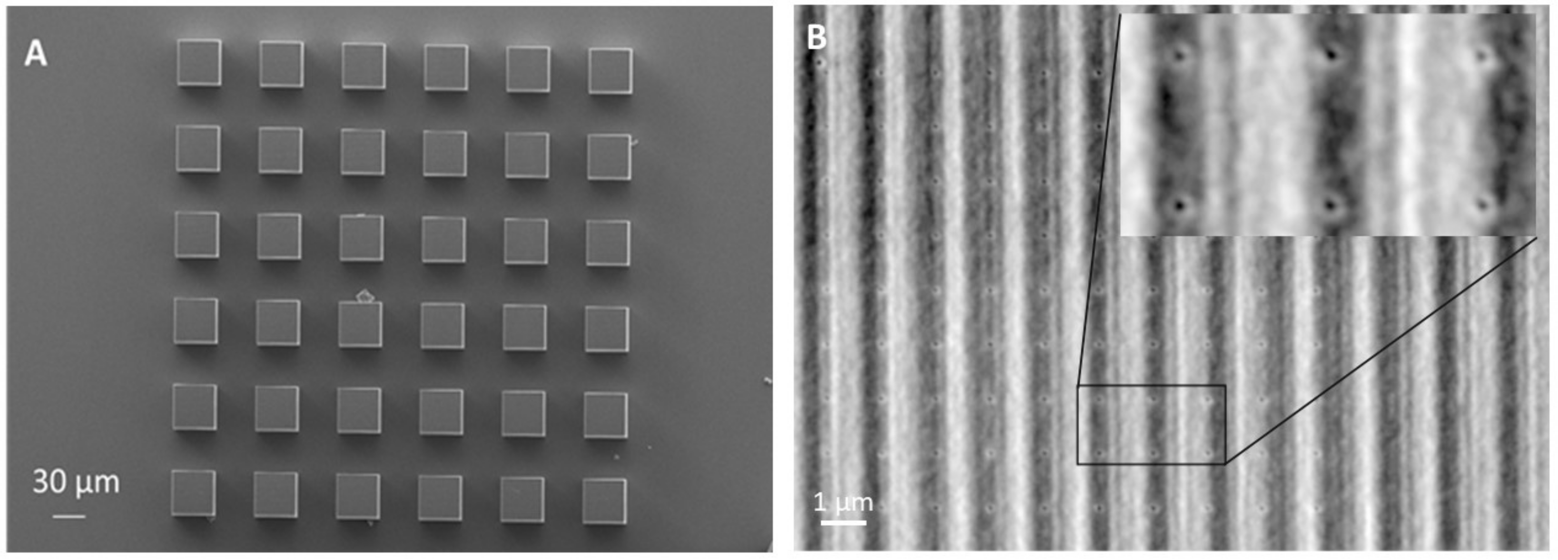 Nanomaterials 11 03285 g002