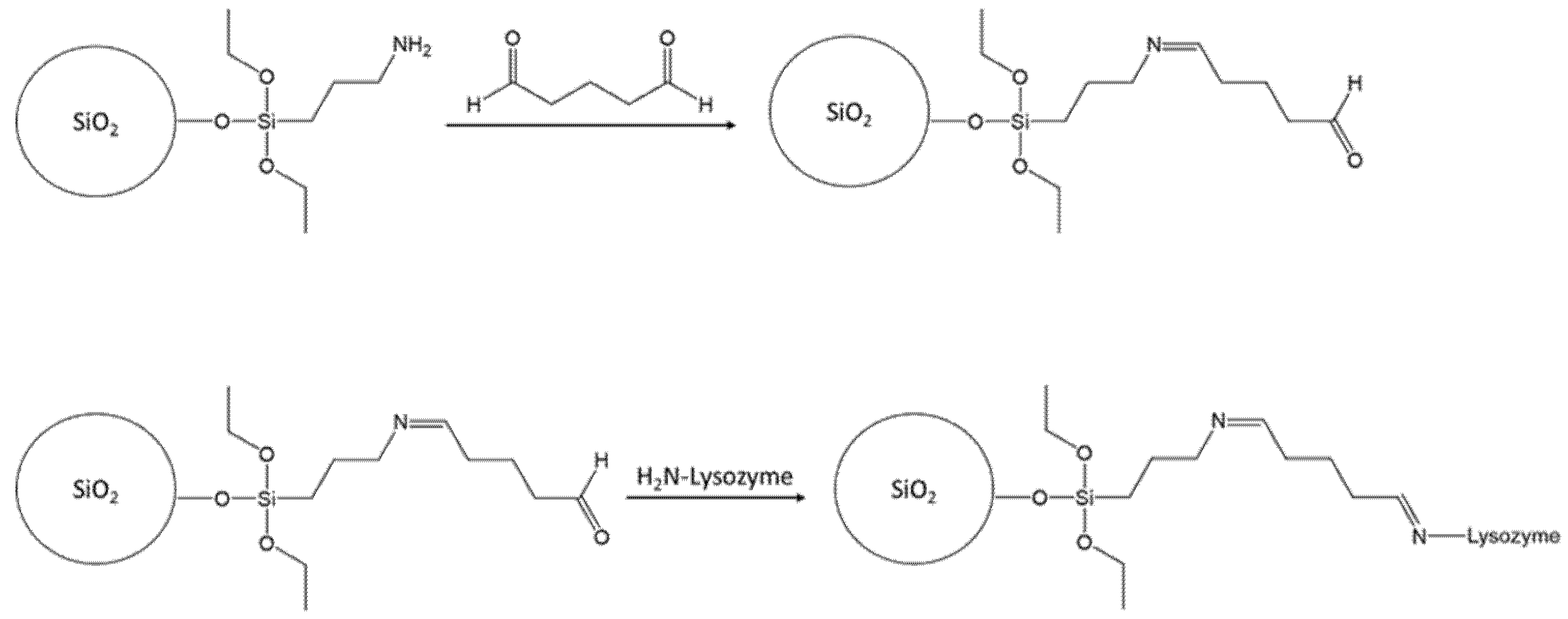 Nanomaterials 11 03287 g008 550