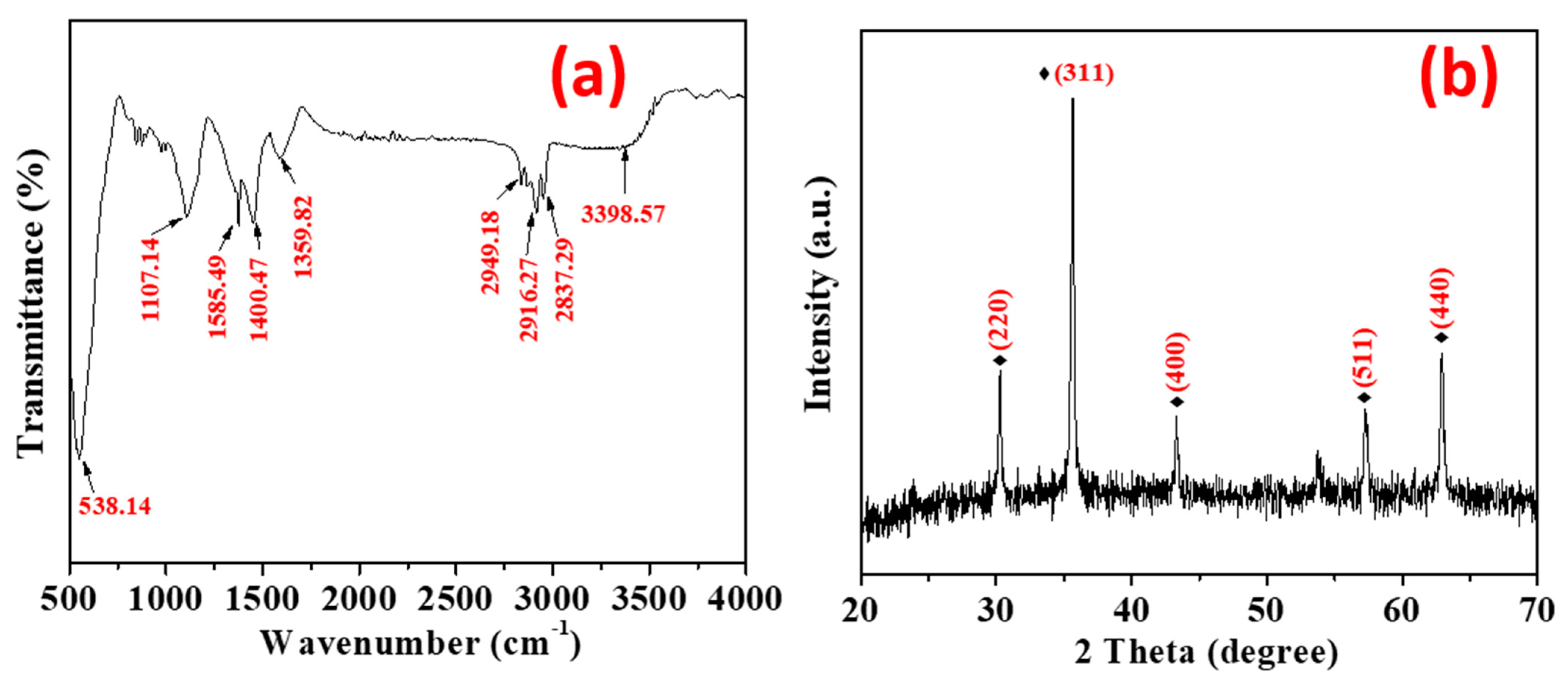 Nanomaterials 11 03290 g001