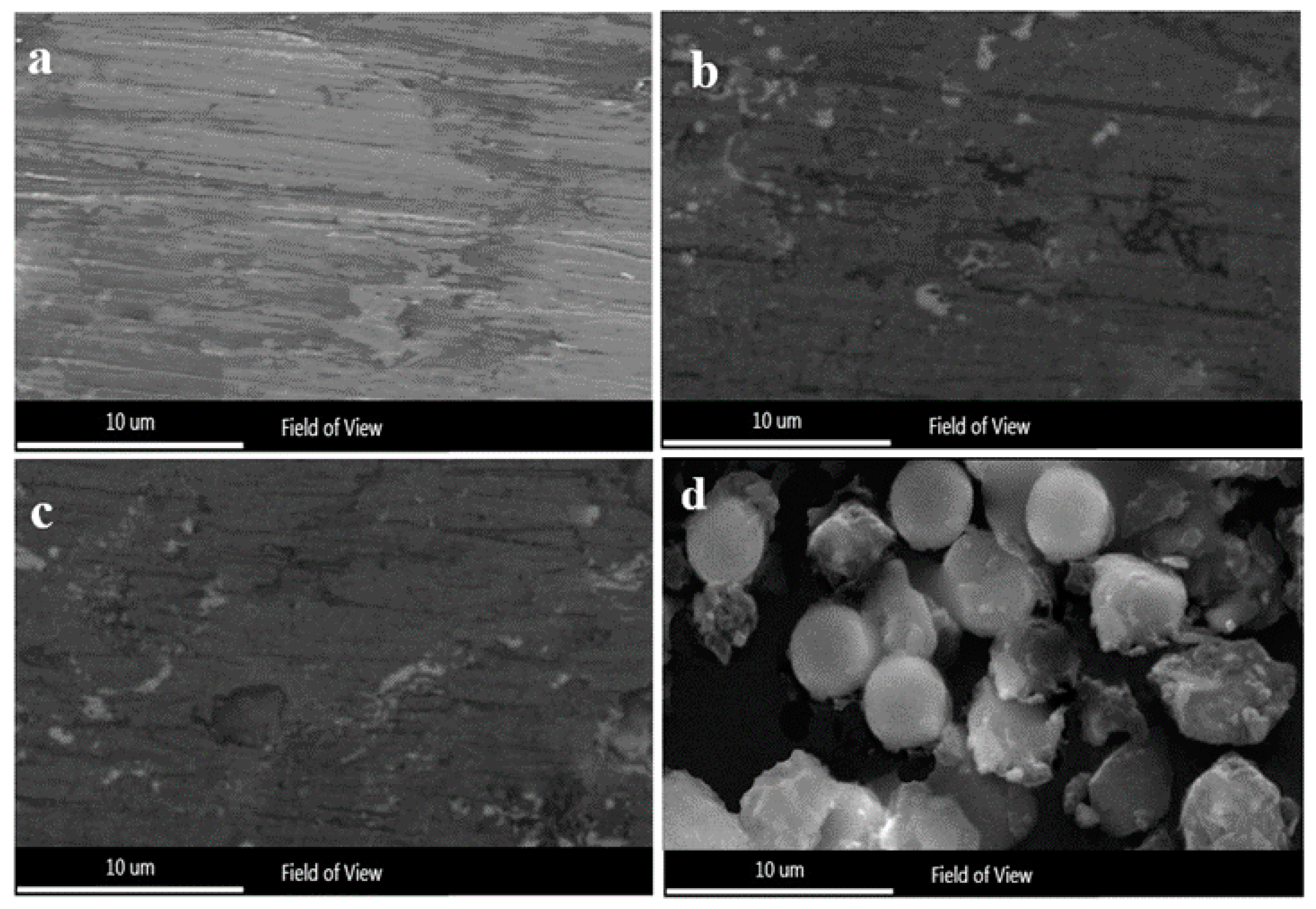 Nanomaterials 11 03298 g001