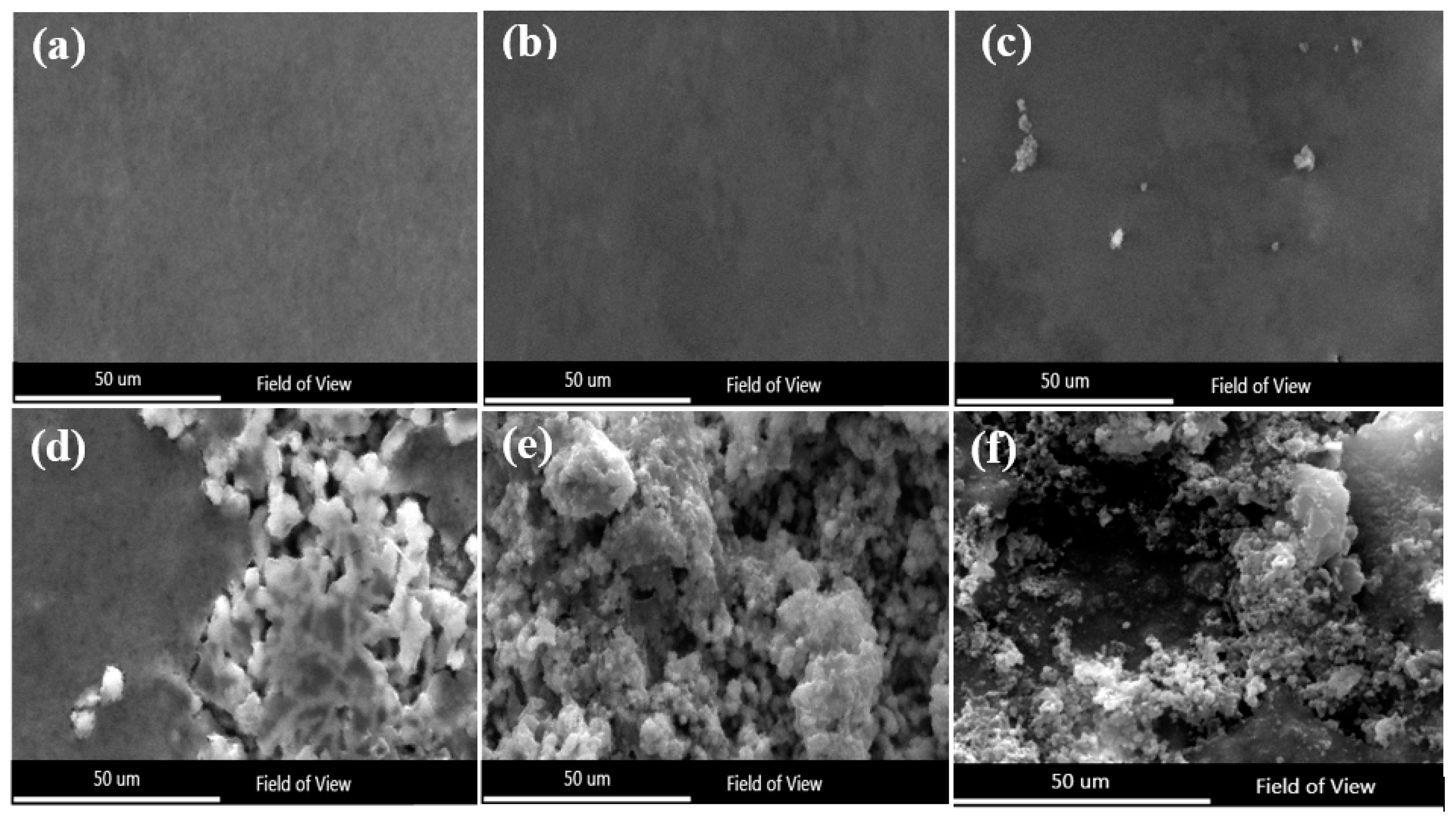 Nanomaterials 11 03298 g006