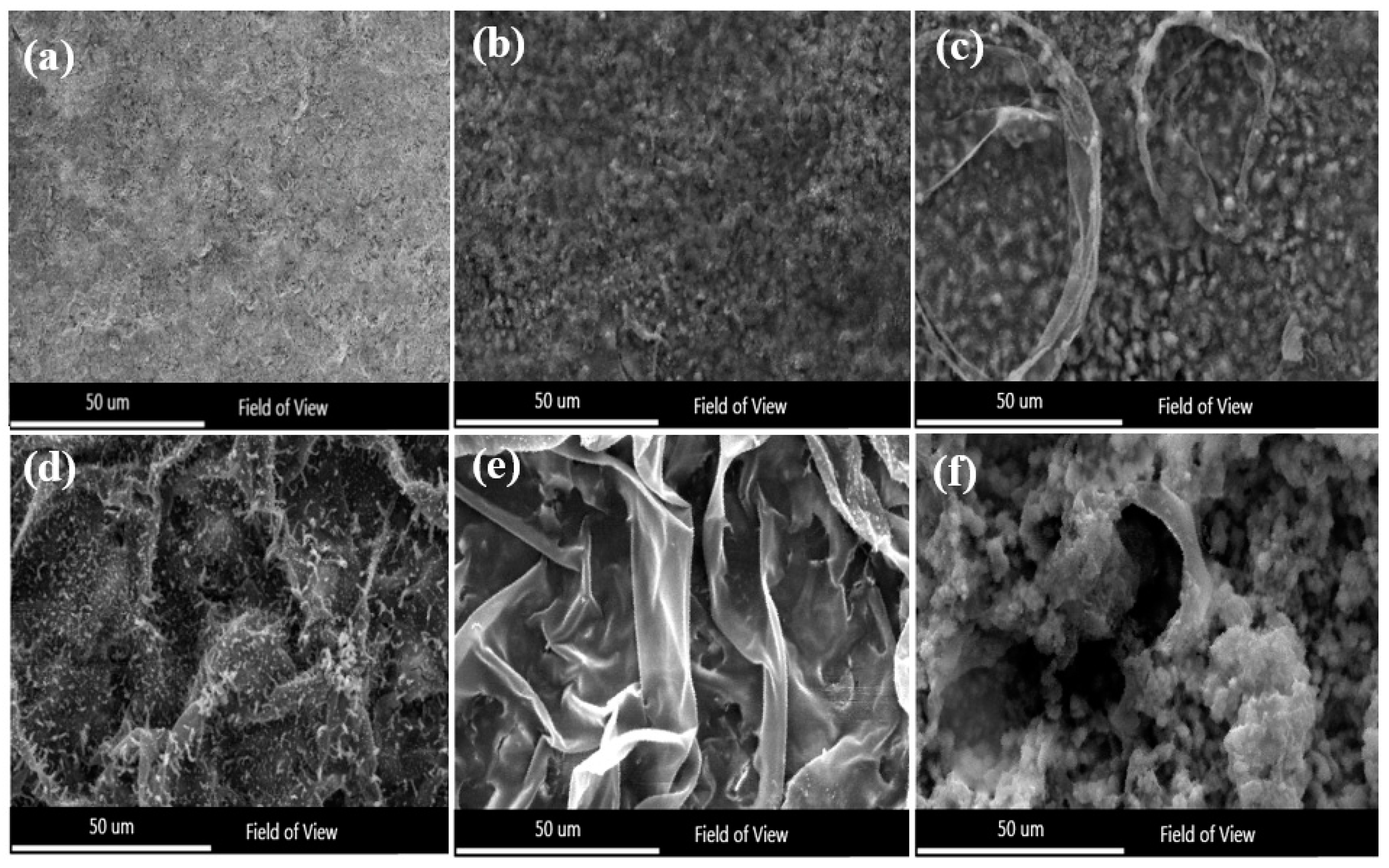 Nanomaterials 11 03298 g008