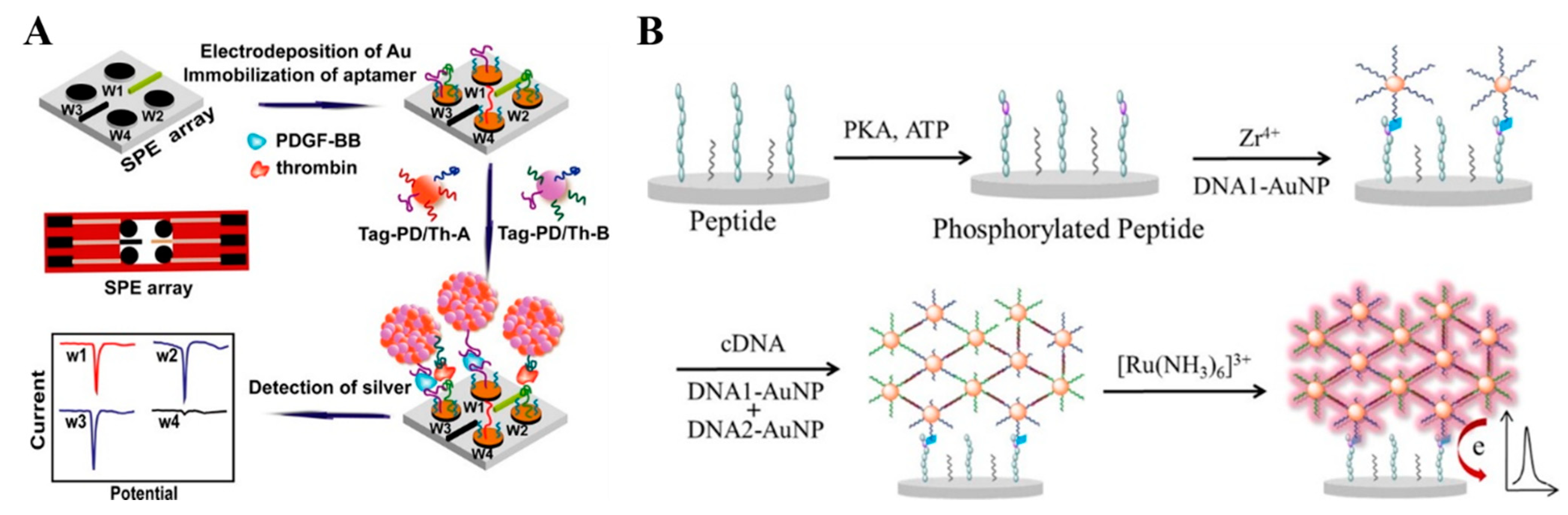 Nanomaterials 11 03307 g001 550