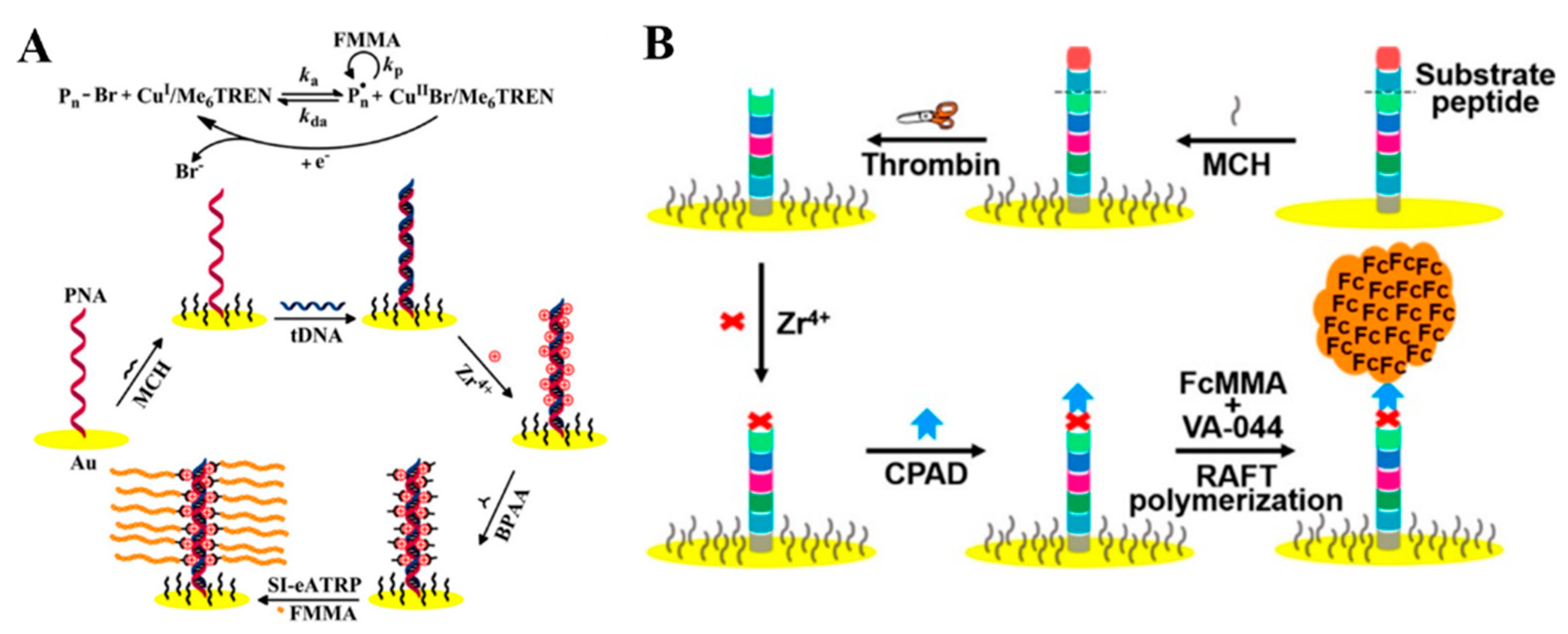 Nanomaterials 11 03307 g011 550