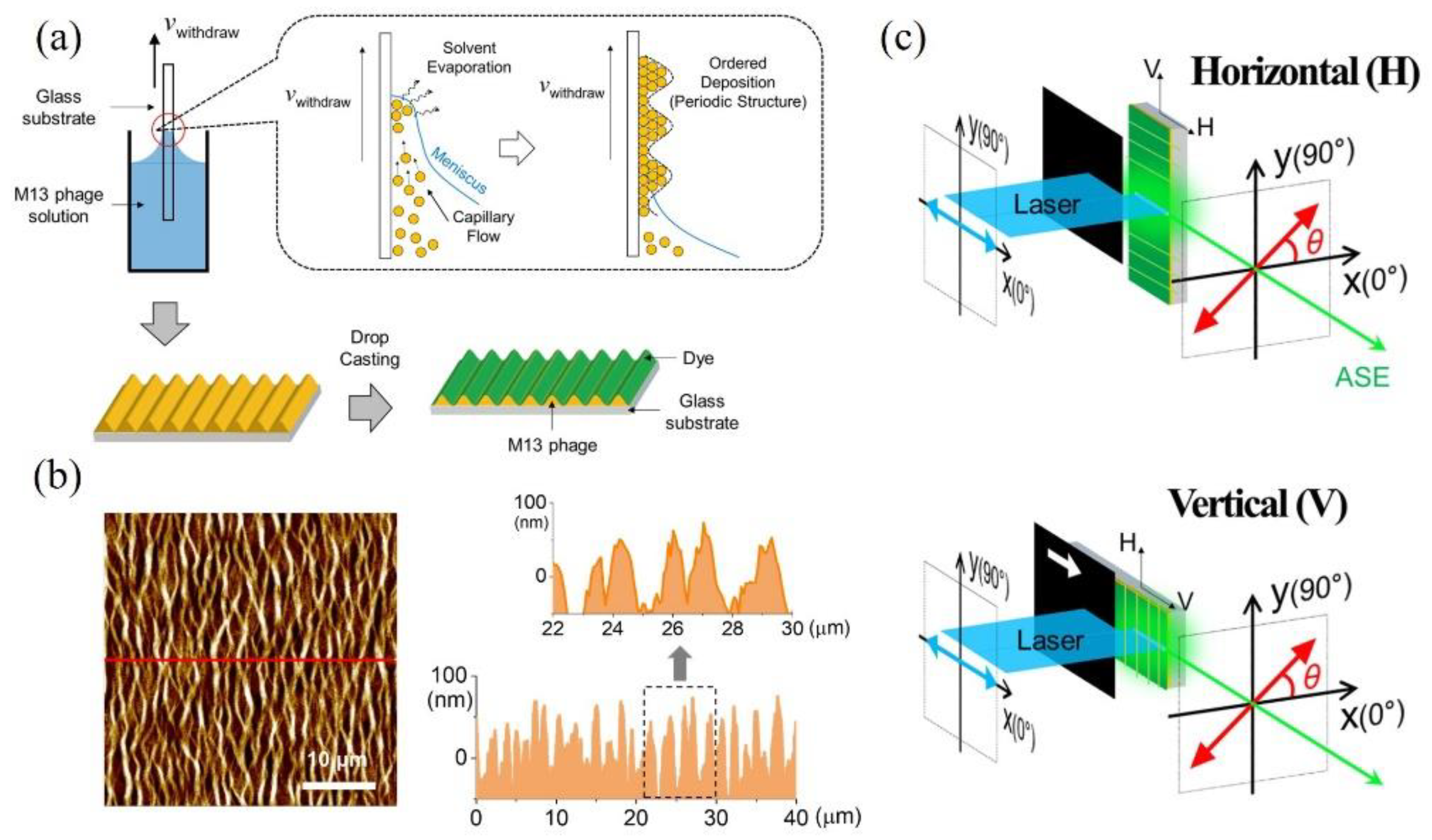 Nanomaterials 11 03309 g001 Nanomaterials 11 03309 g001
