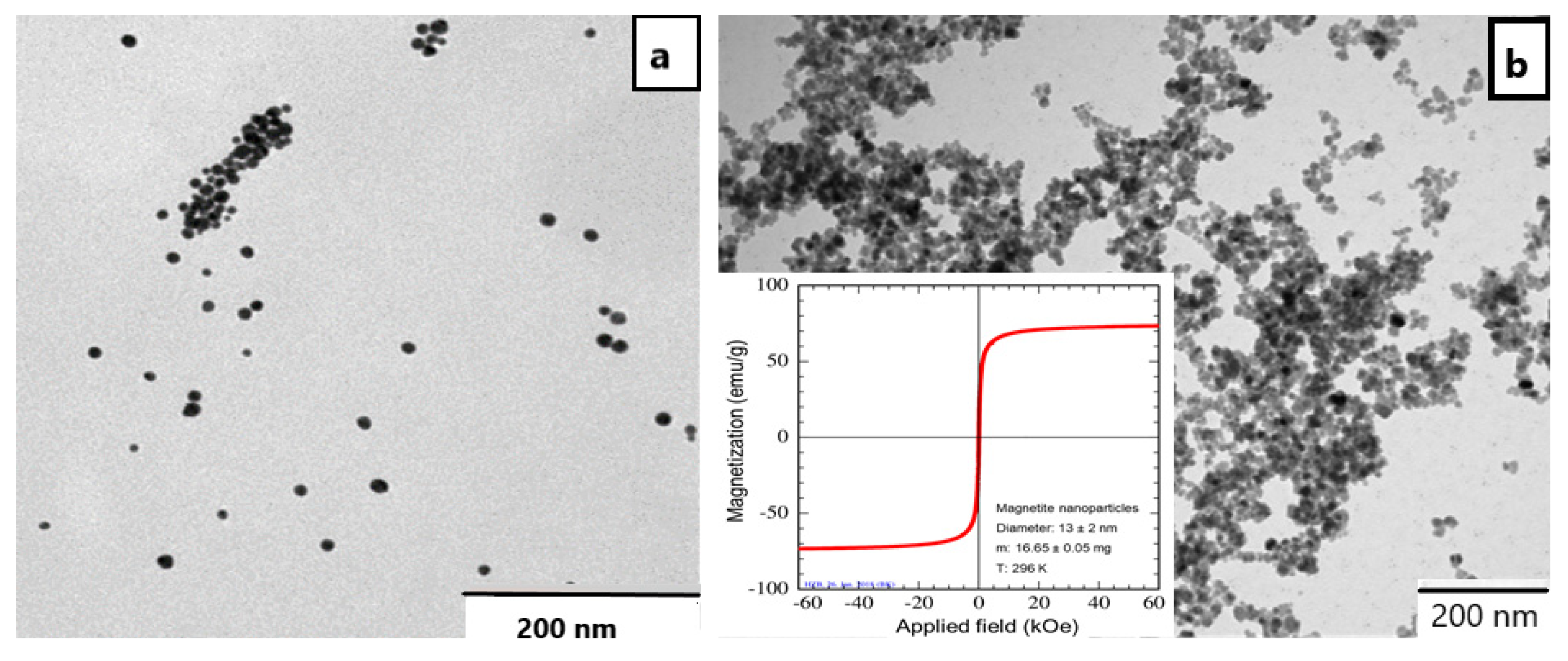 Nanomaterials 11 03312 g001 550