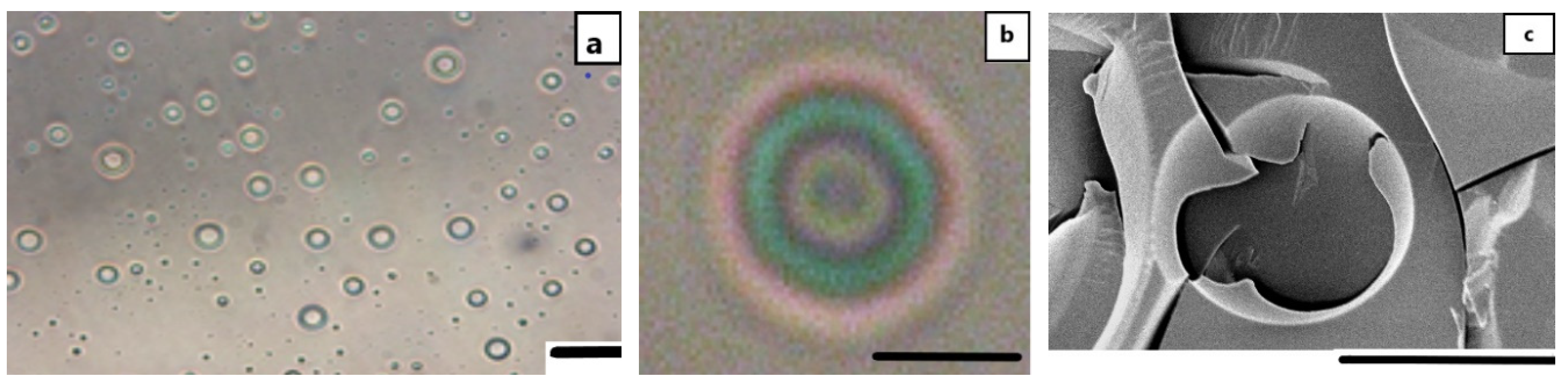 Nanomaterials 11 03312 g002 550