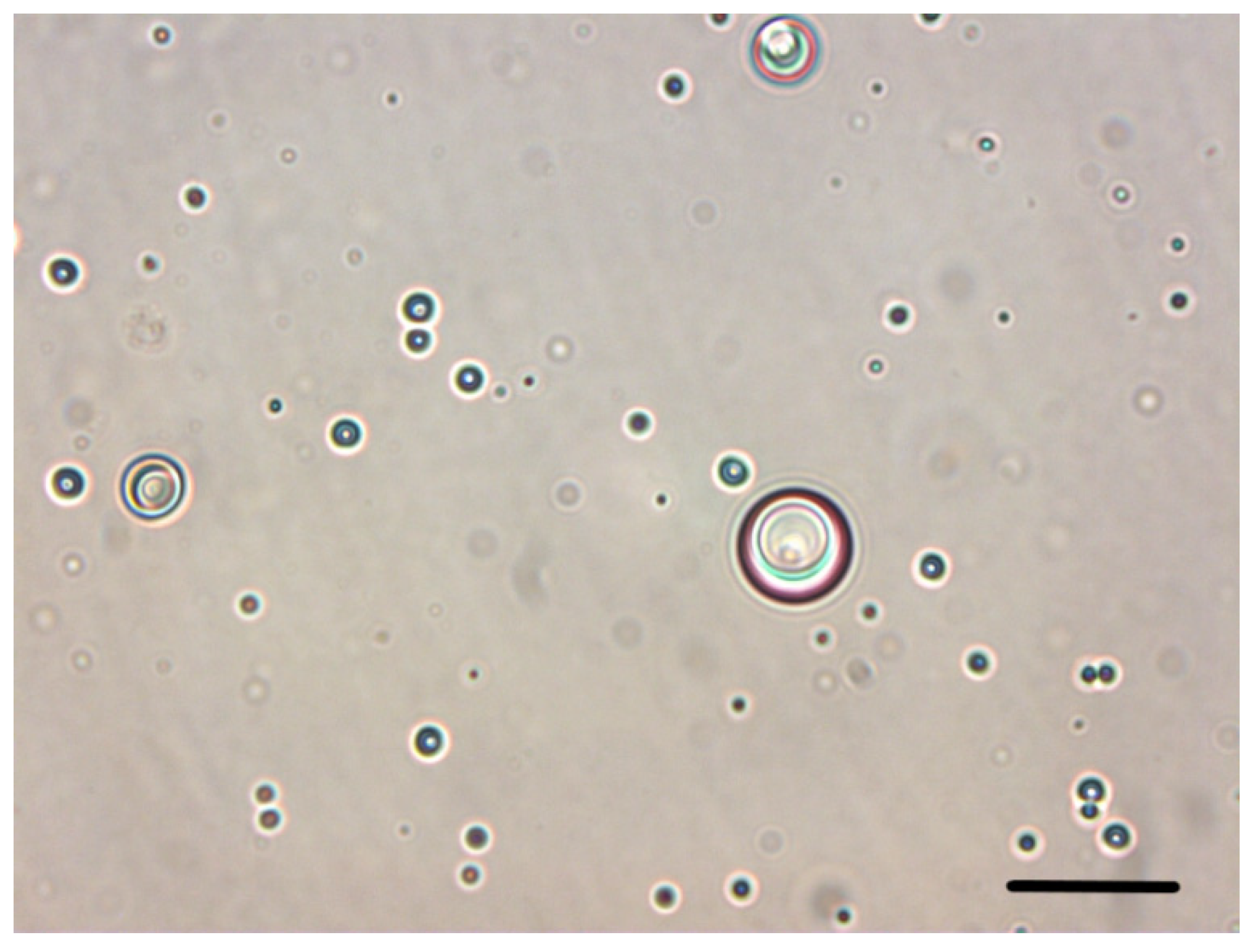 Nanomaterials 11 03312 g003 550