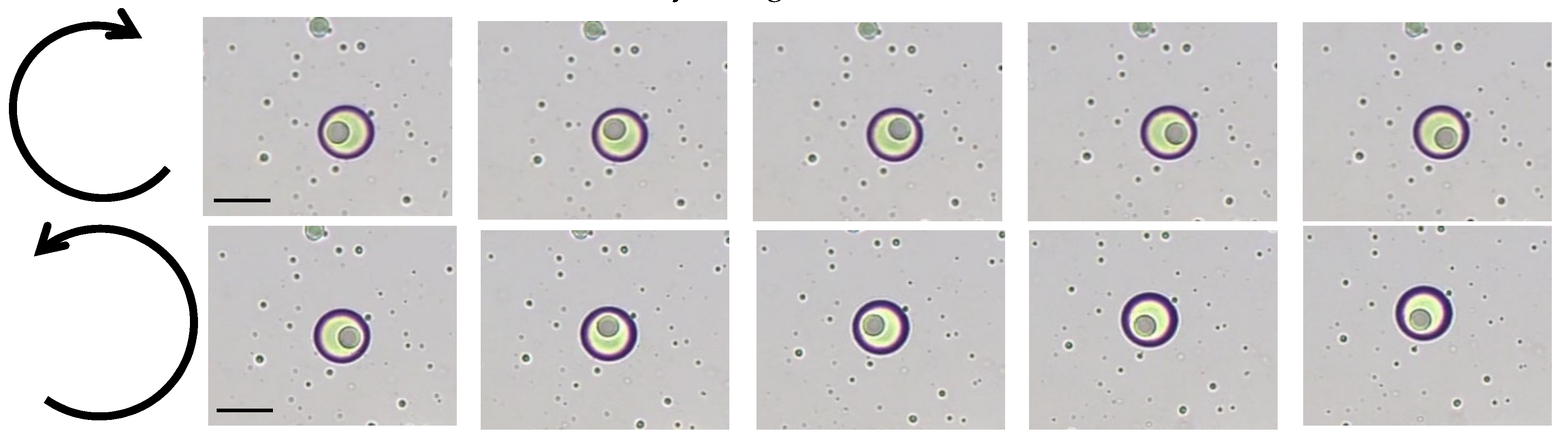 Nanomaterials 11 03312 g004 550