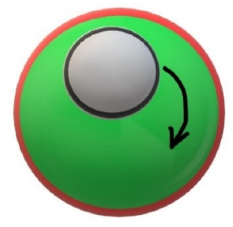 Nanomaterials 11 03312 g005 550