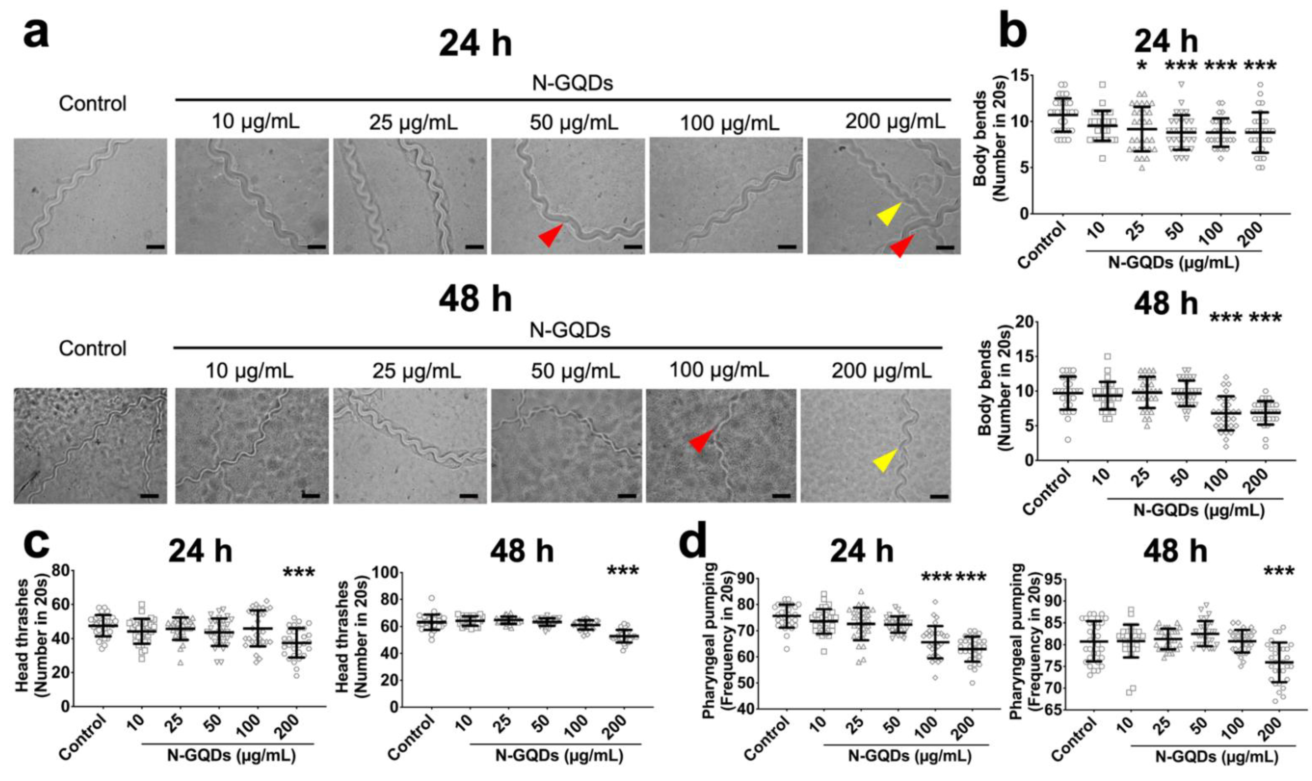 Nanomaterials 11 03314 g002