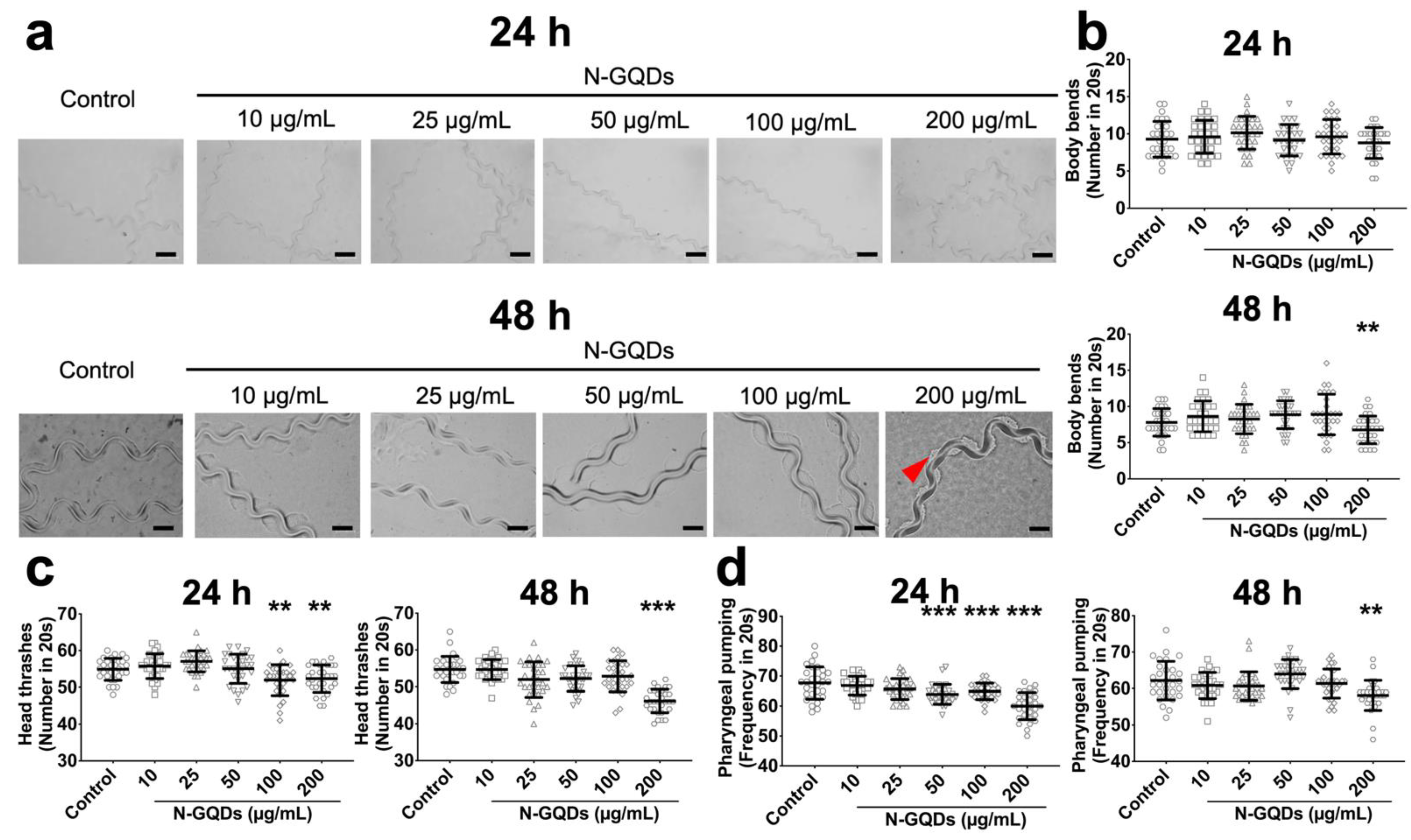 Nanomaterials 11 03314 g003