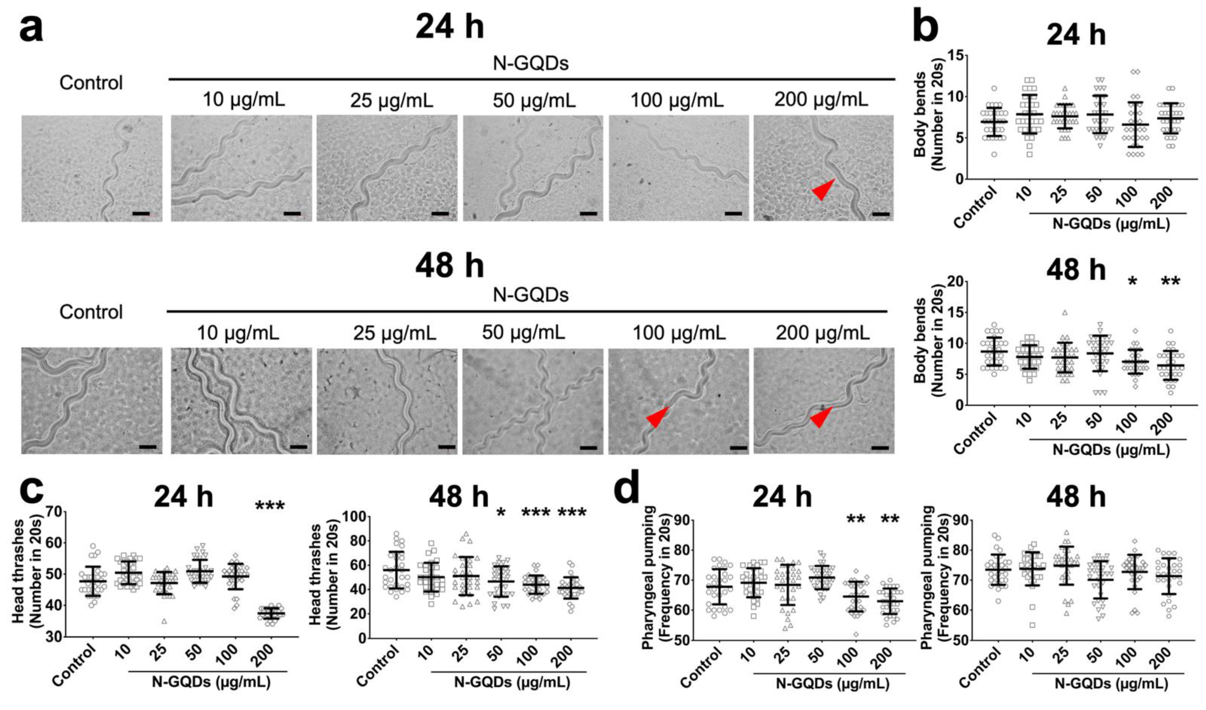 Nanomaterials 11 03314 g004
