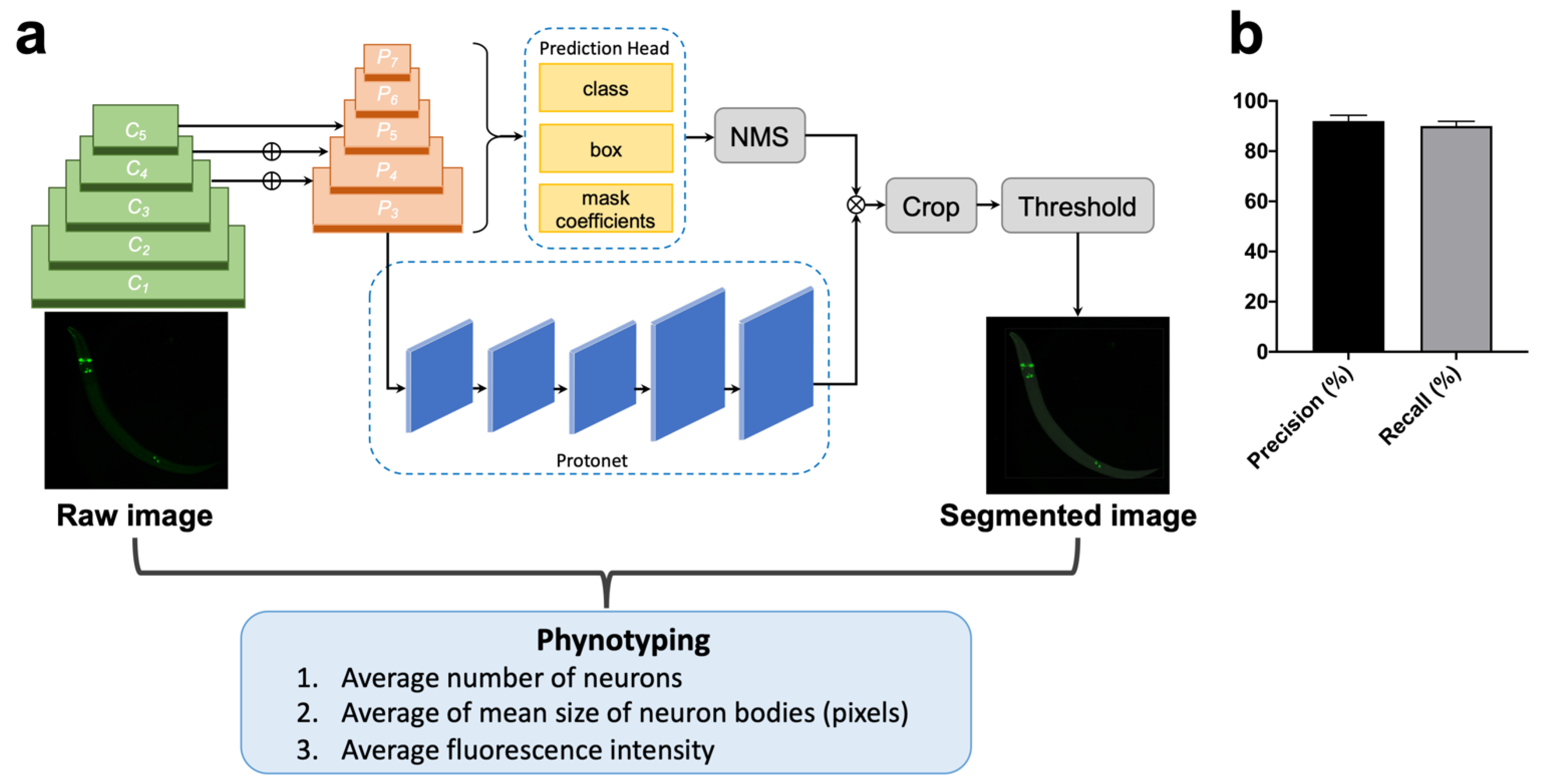 Nanomaterials 11 03314 g005