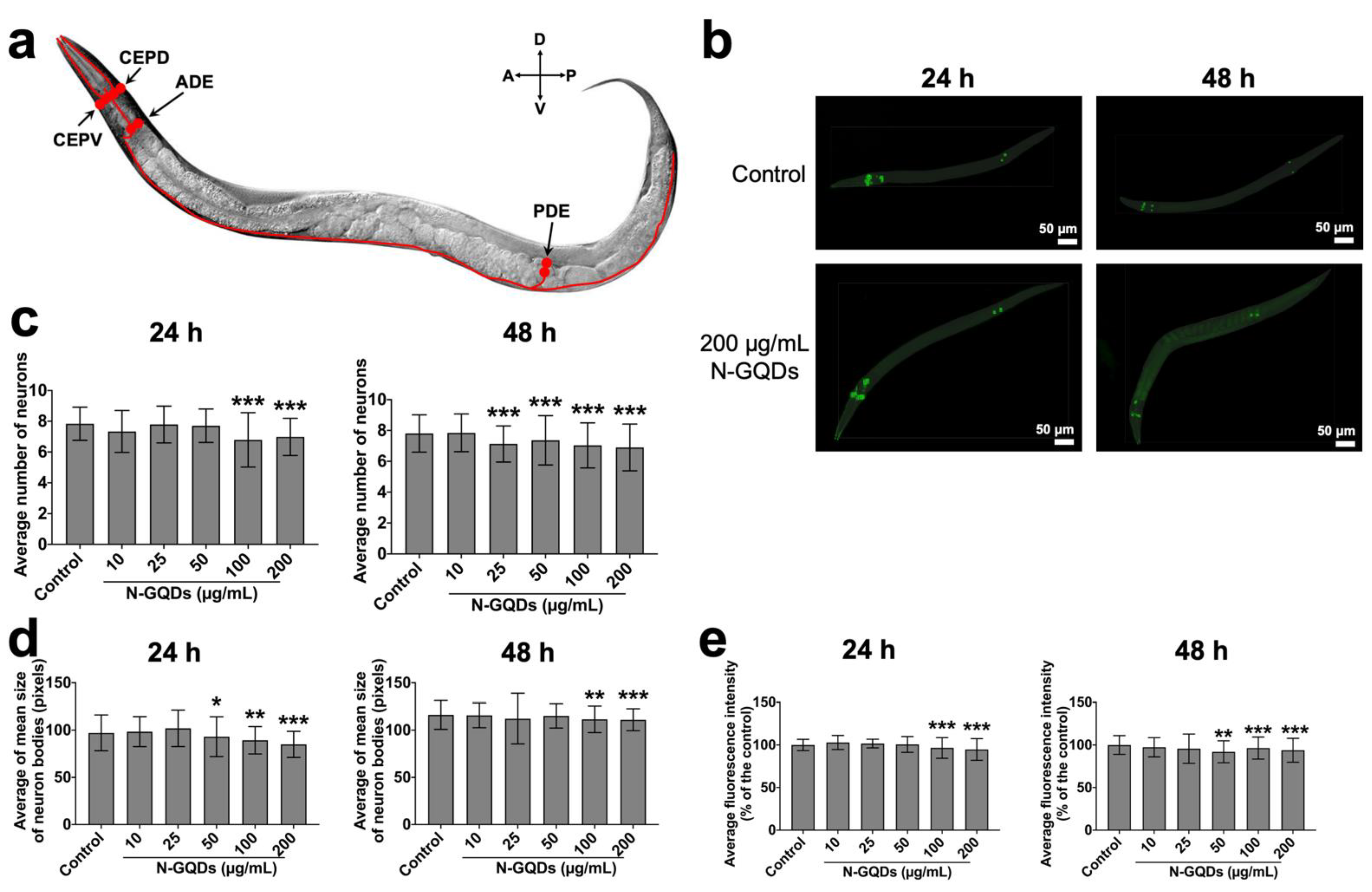 Nanomaterials 11 03314 g006