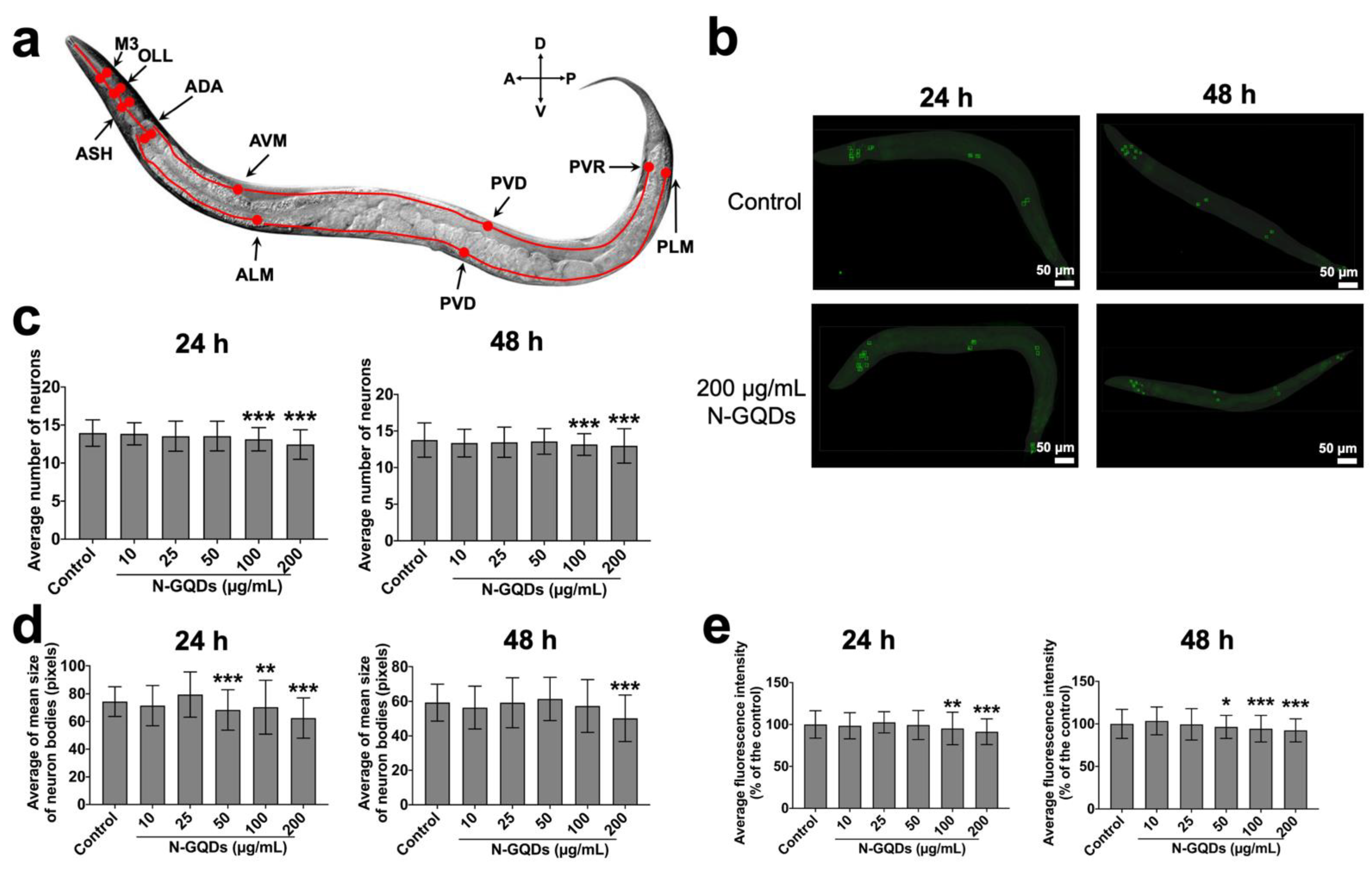 Nanomaterials 11 03314 g007