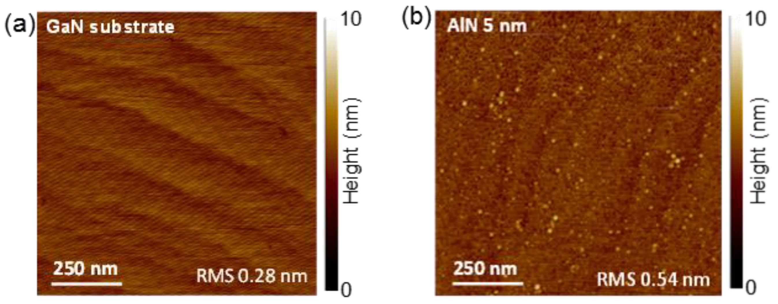 Nanomaterials 11 03316 g001