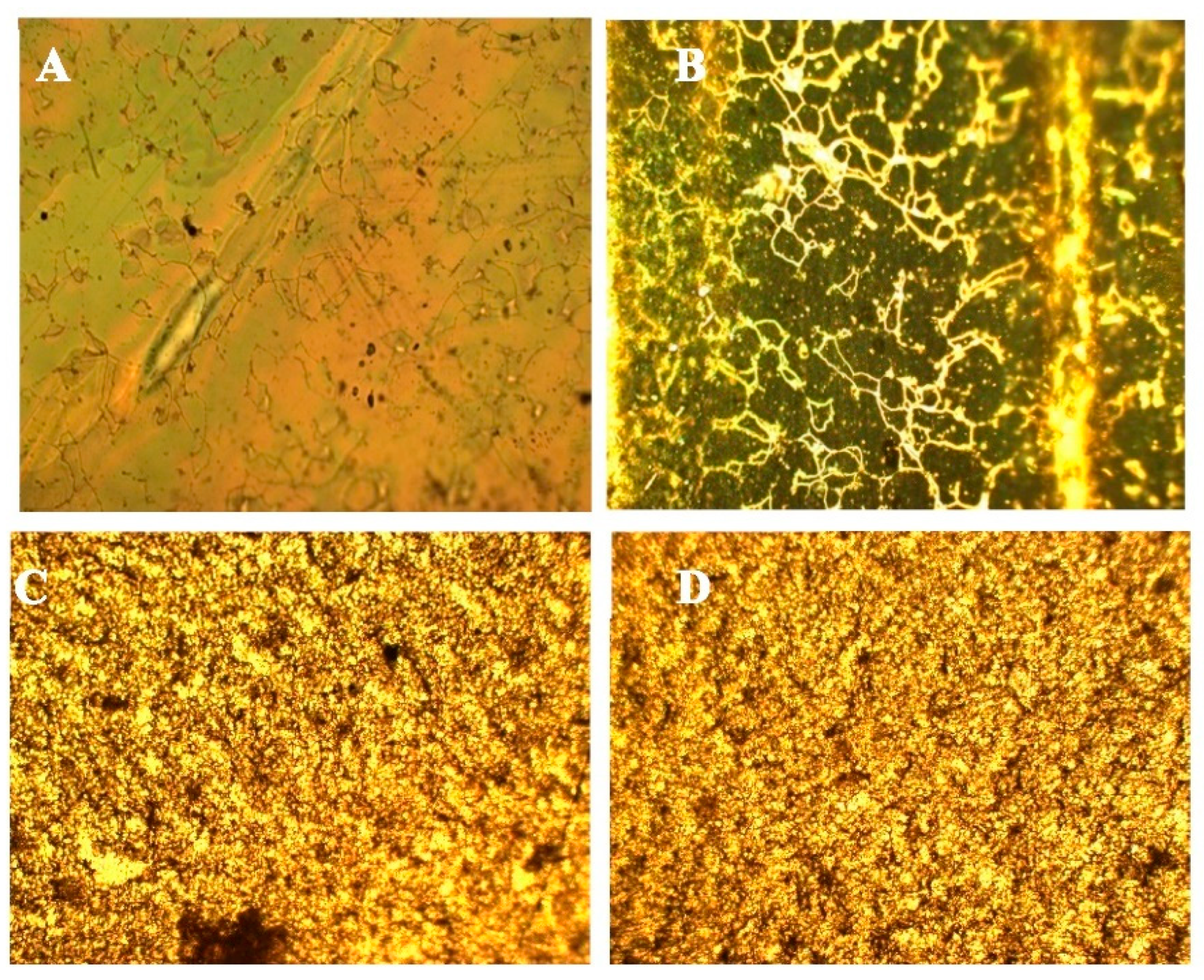 Nanomaterials 11 03320 g004