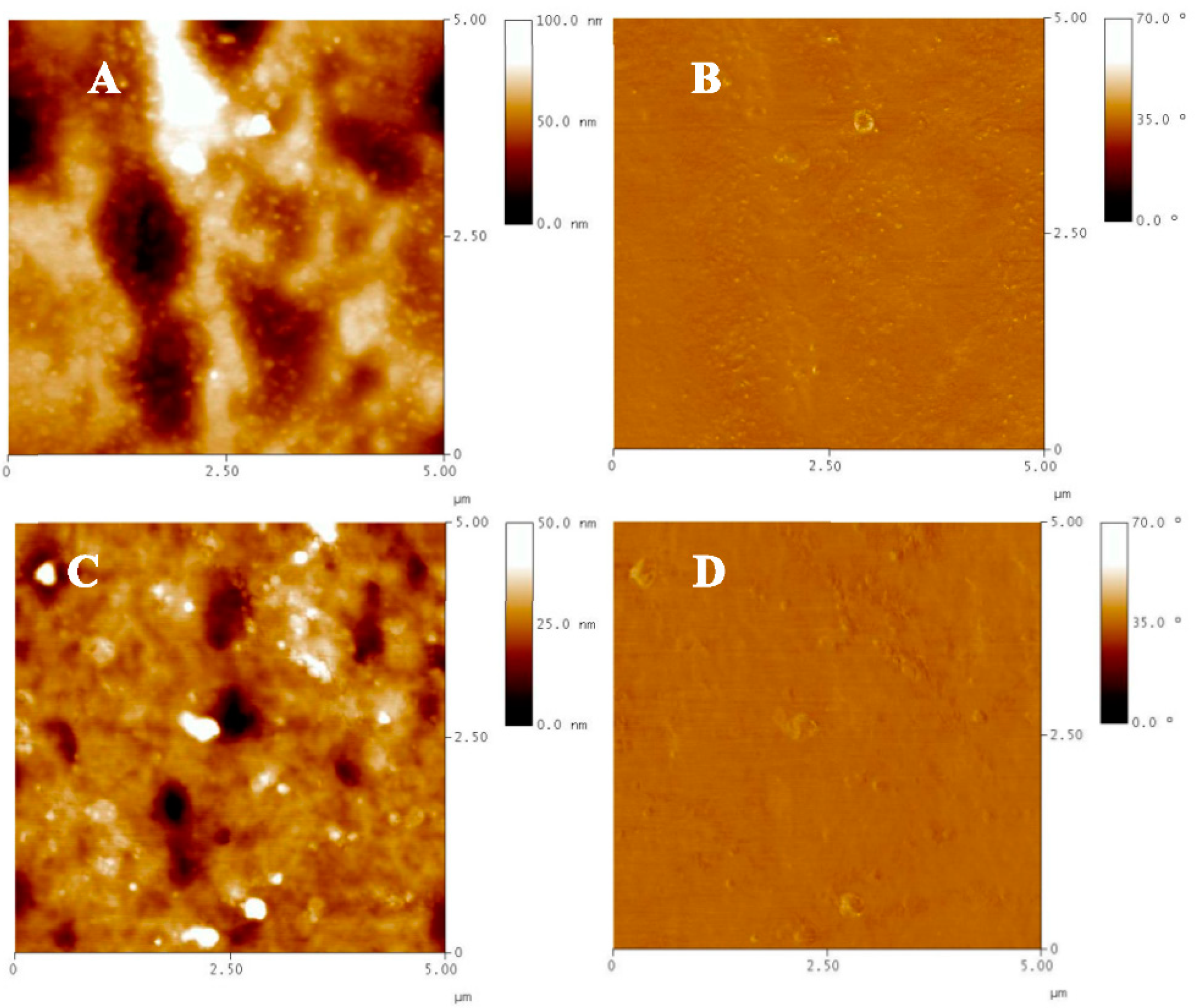 Nanomaterials 11 03320 g006