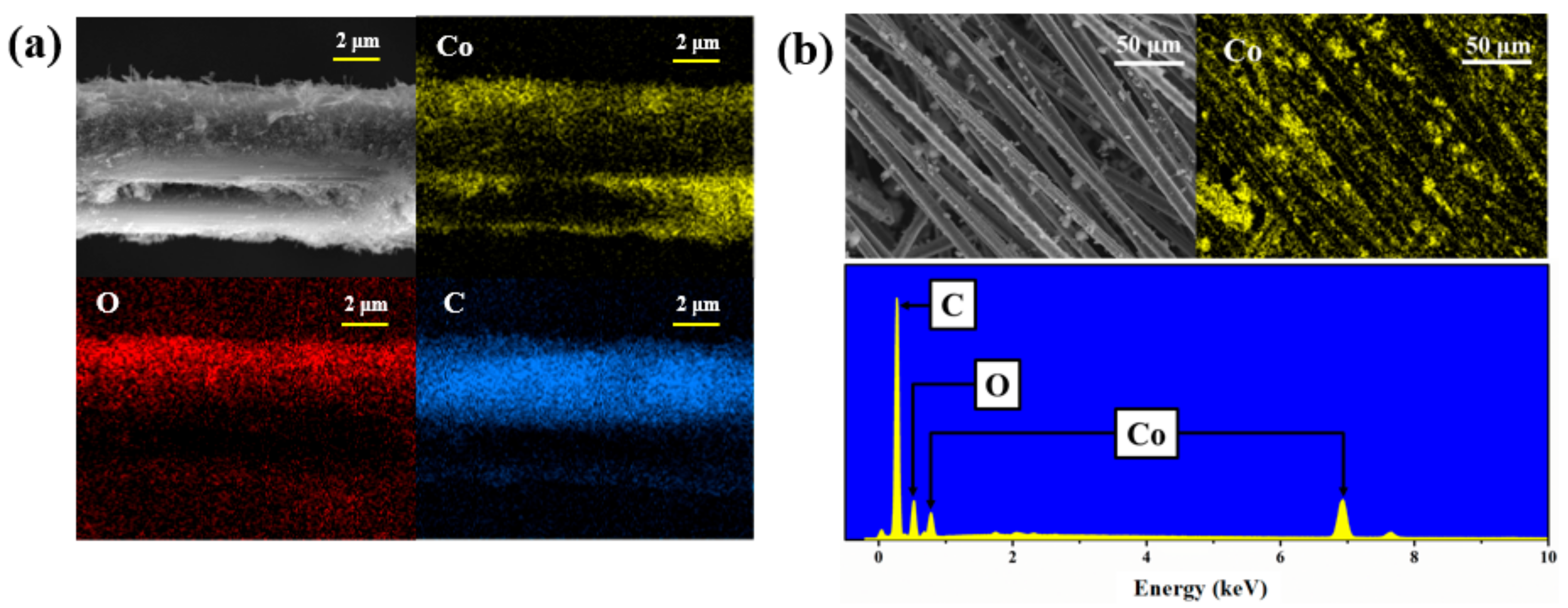 Nanomaterials 11 03321 g001