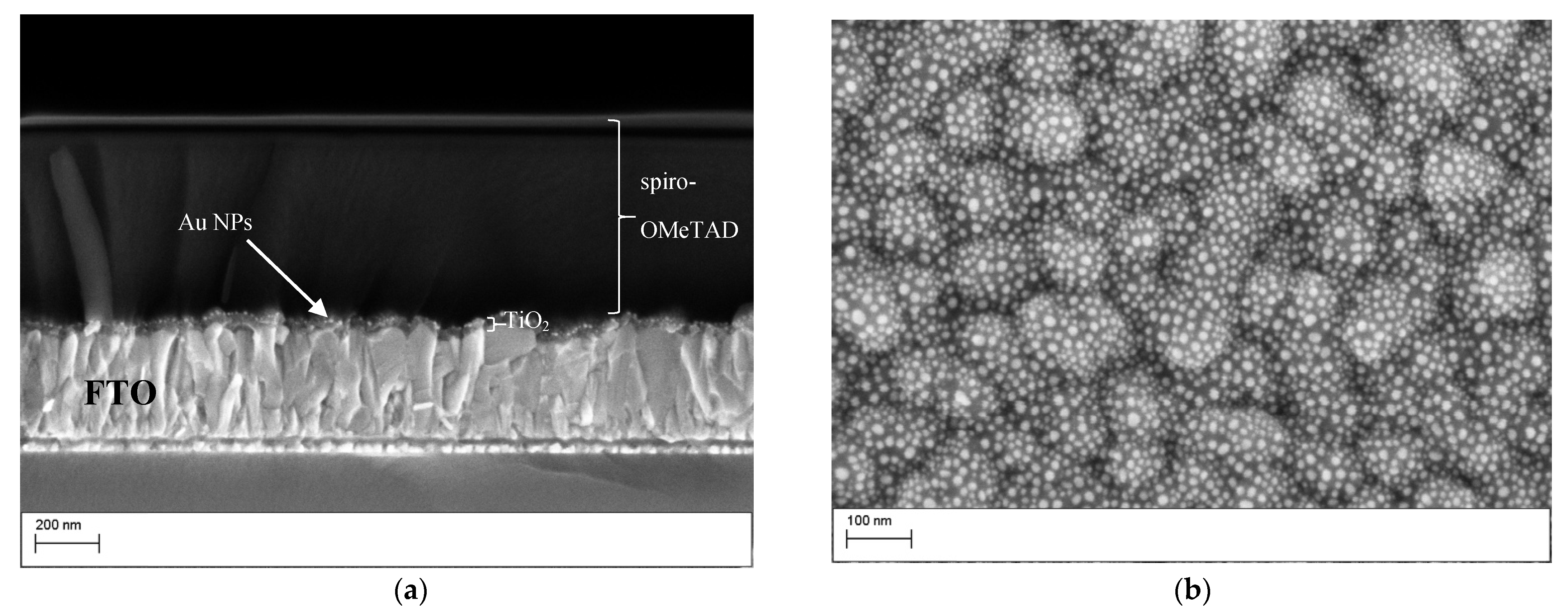 Nanomaterials 11 03329 g002 550
