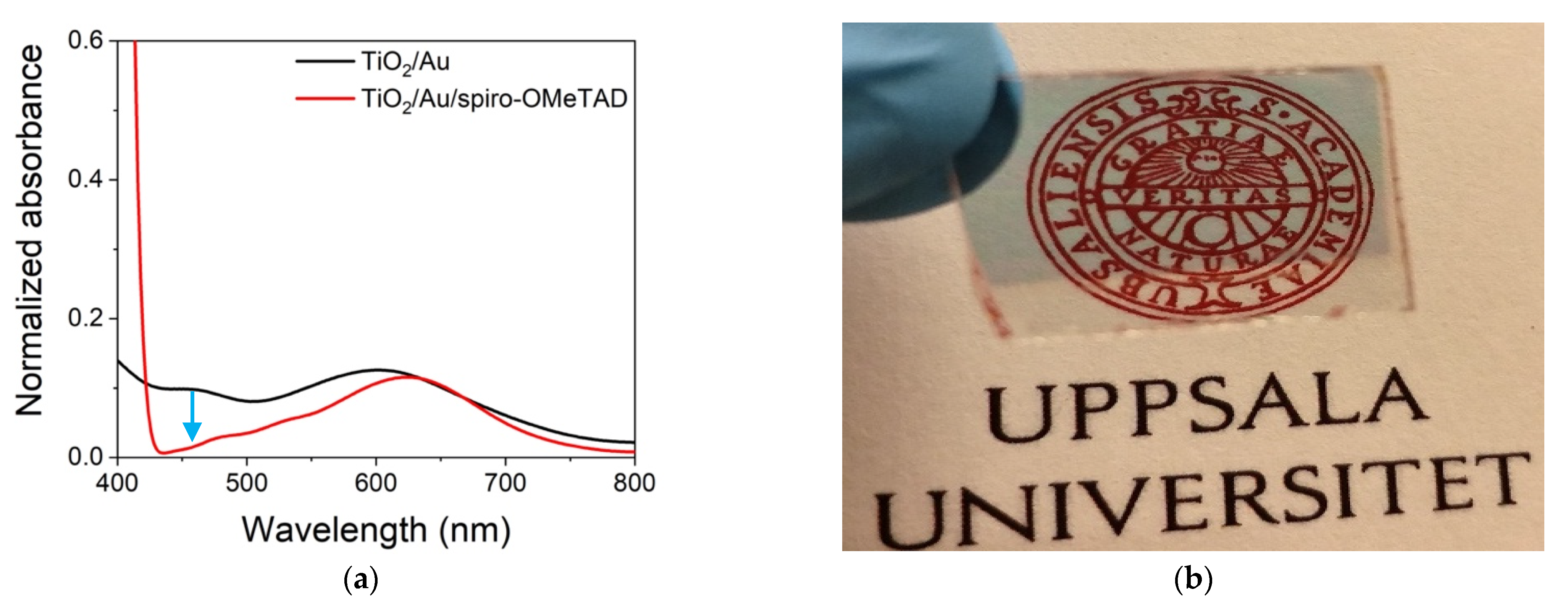 Nanomaterials 11 03329 g003 550