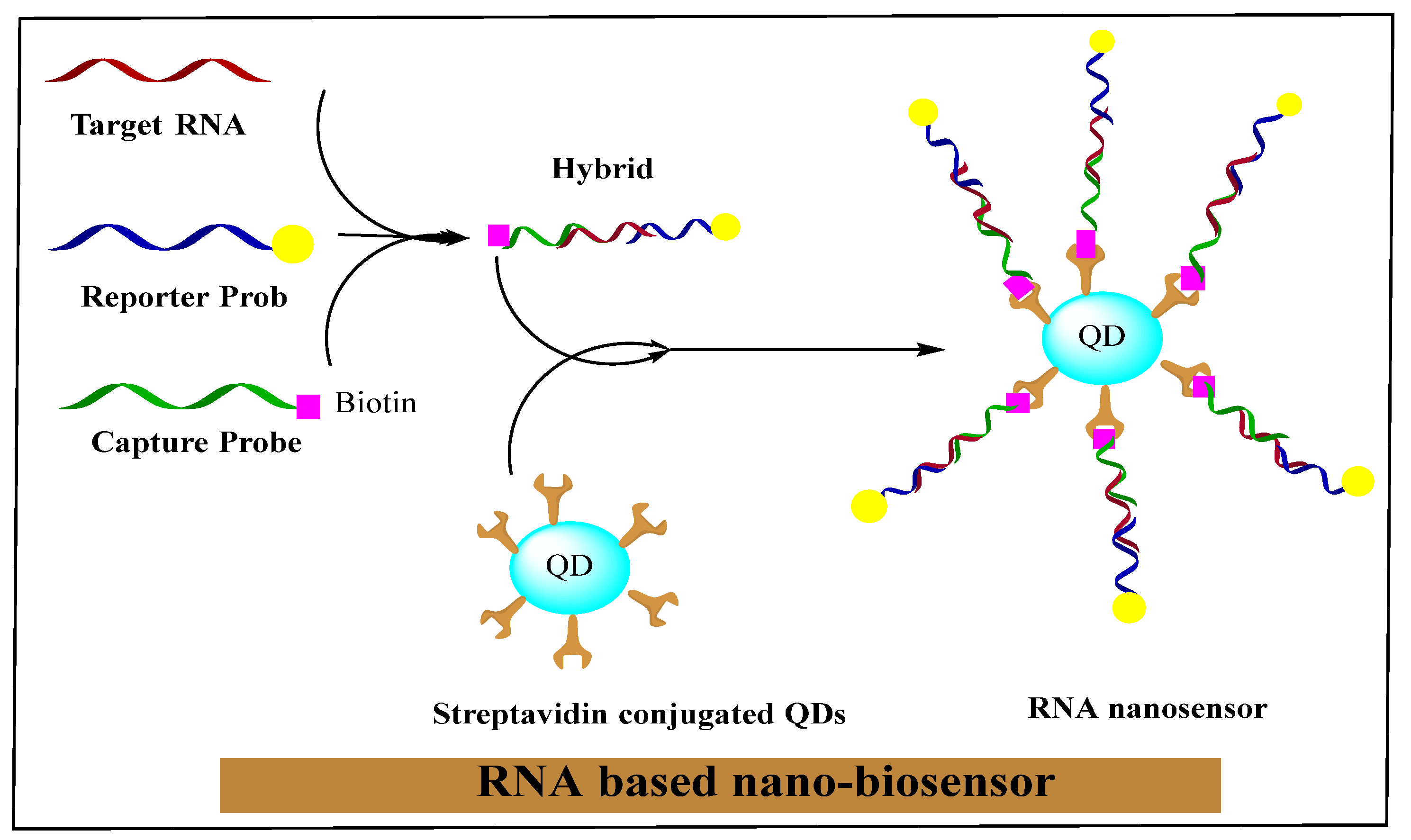Nanomaterials 11 03330 g002 Nanomaterials 11 03330 g002