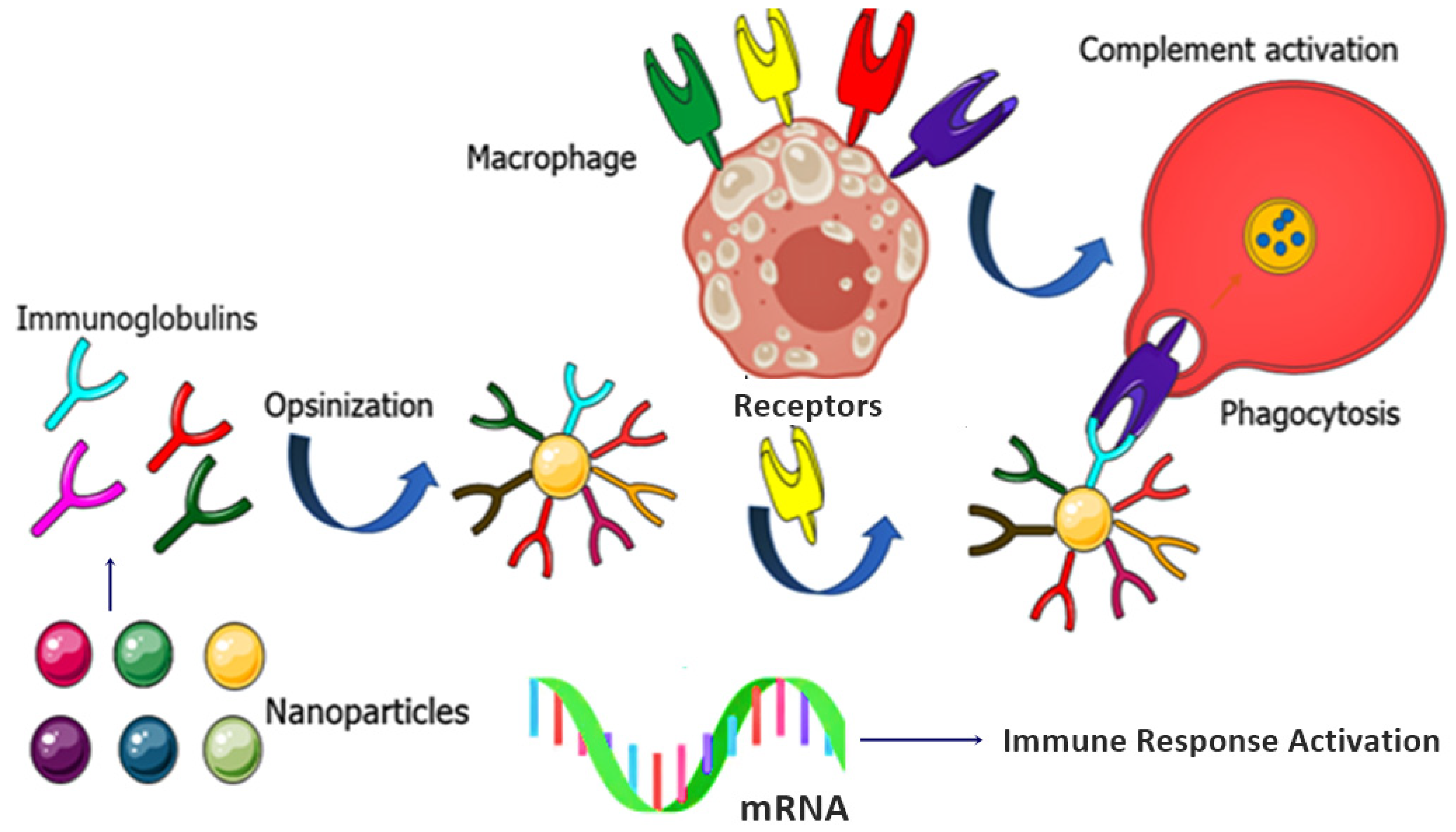 Nanomaterials 11 03330 g007 Nanomaterials 11 03330 g007