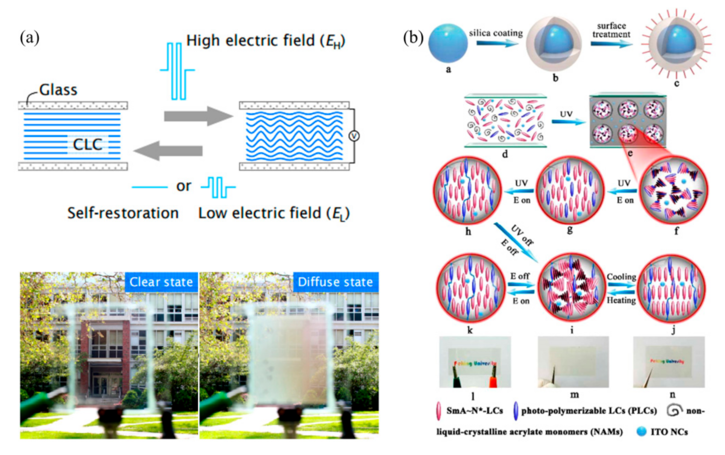 Nanomaterials 11 03335 g007 550