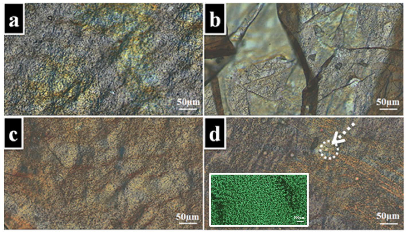 Nanomaterials 11 03336 g004 550