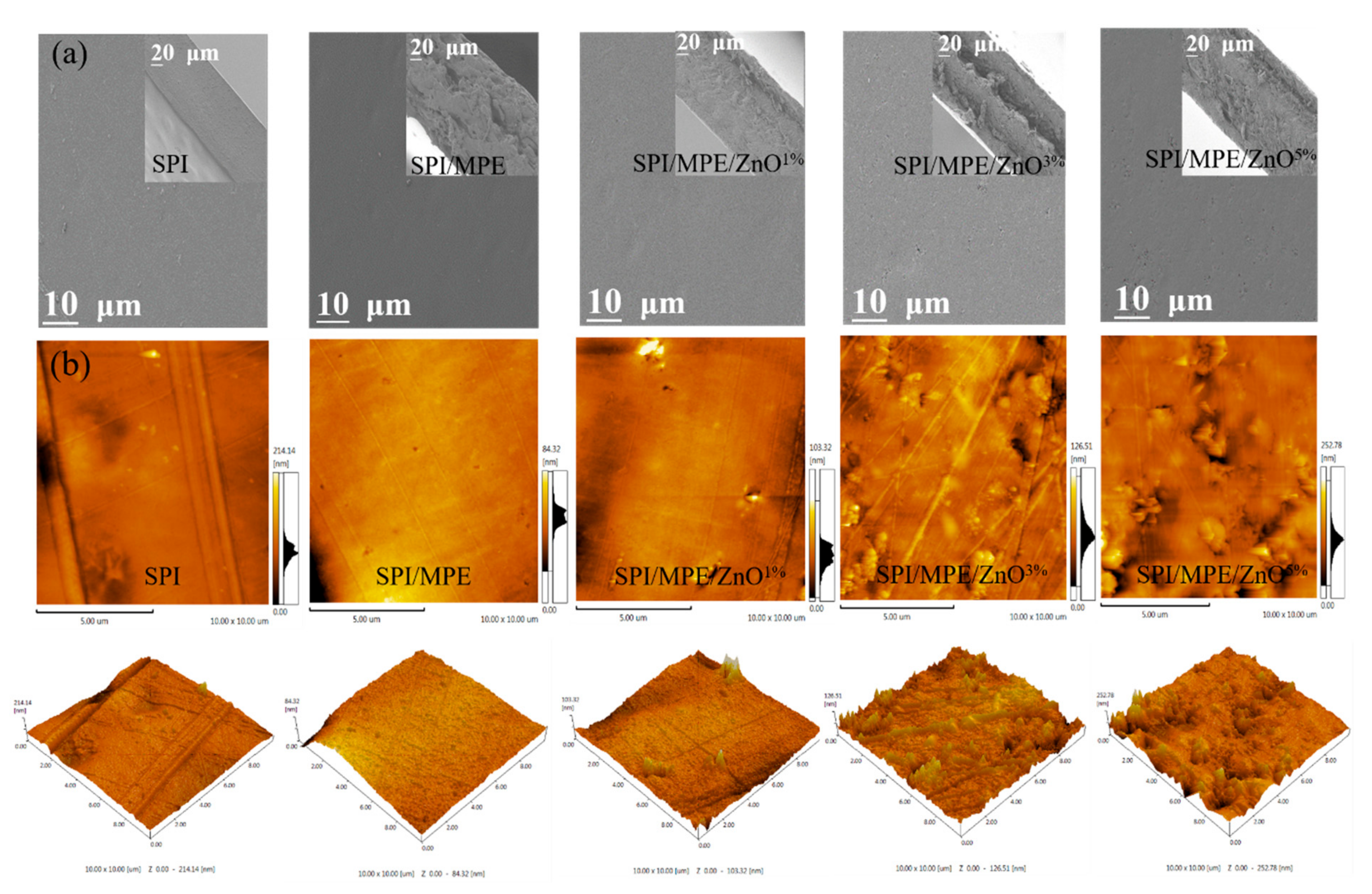Nanomaterials 11 03337 g004