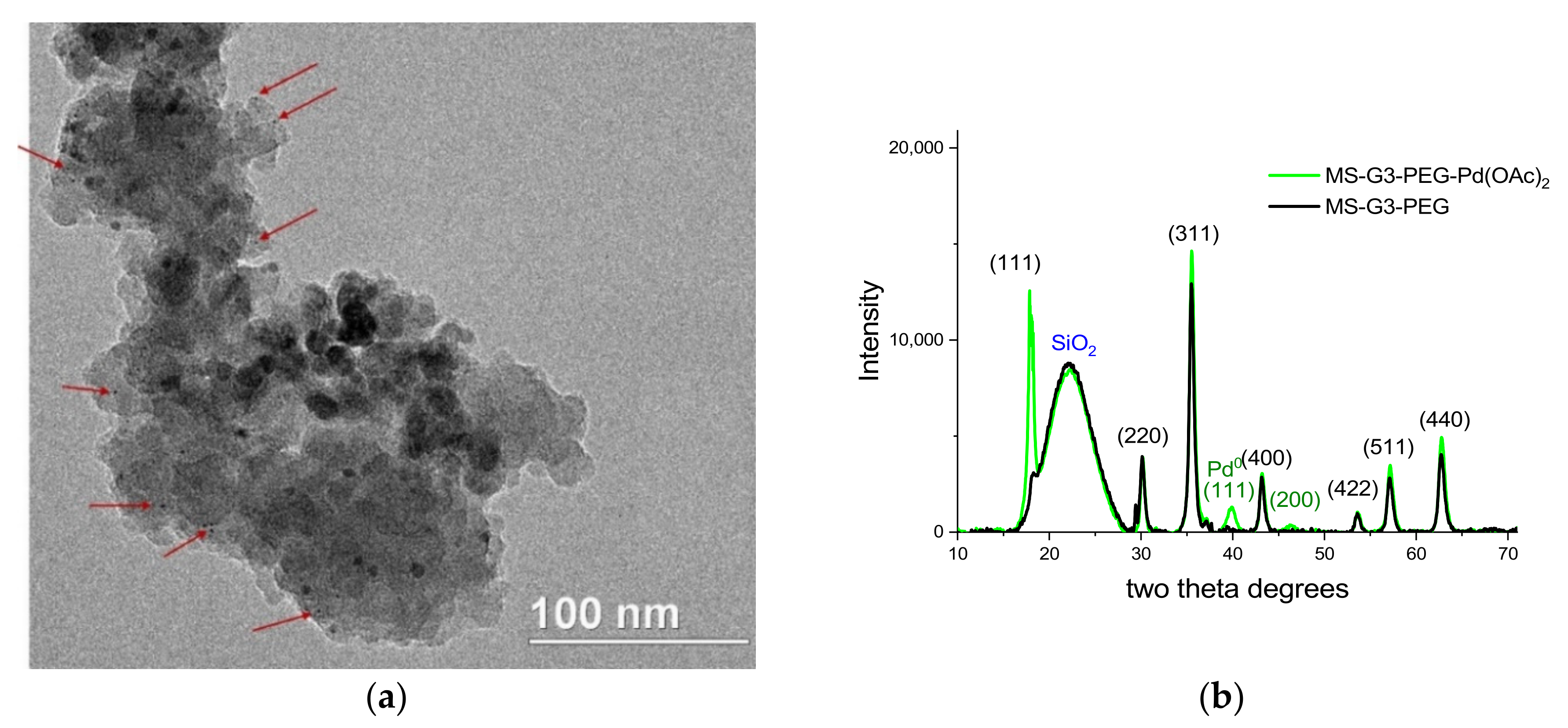 Nanomaterials 11 03345 g003 550