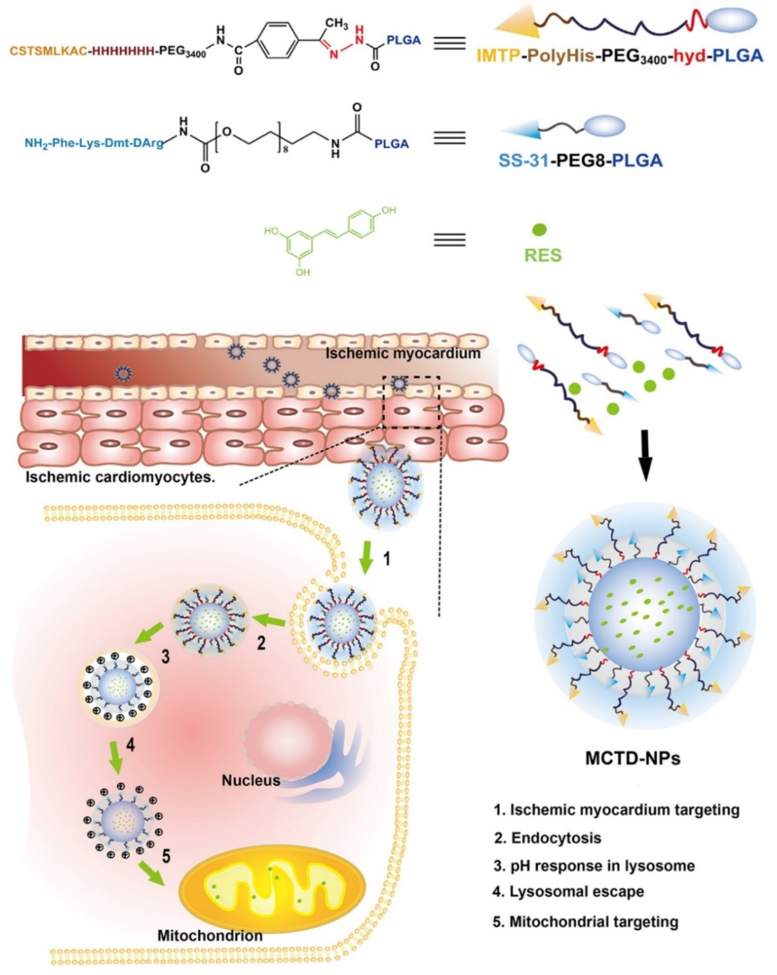 Nanomaterials 11 03346 g005