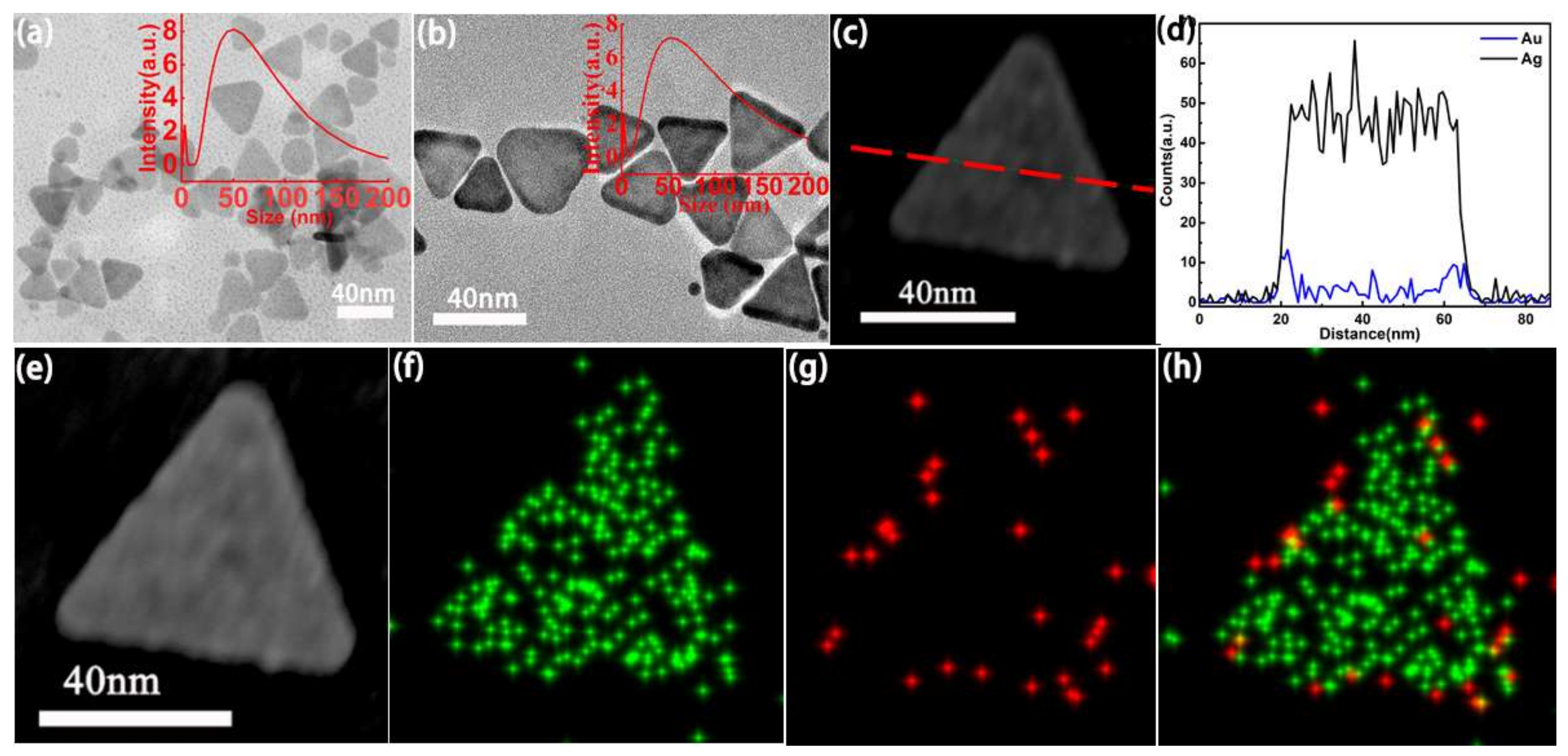 Nanomaterials 11 03347 g001 550