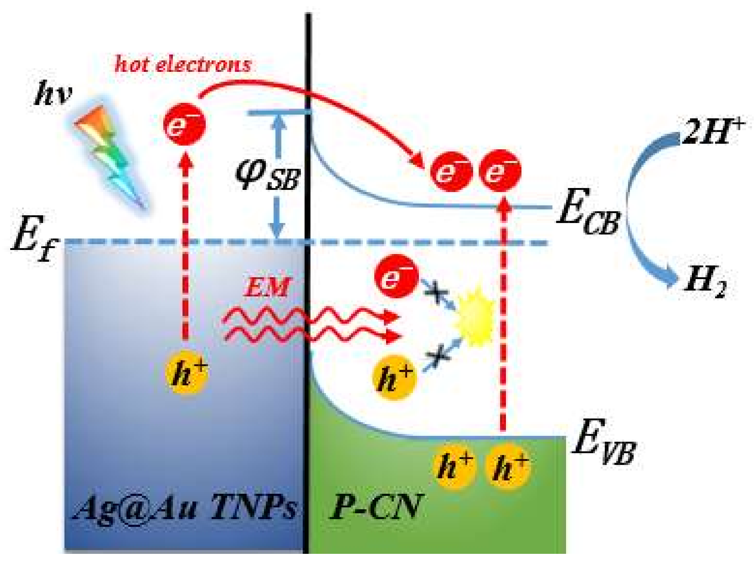 Nanomaterials 11 03347 g007 550