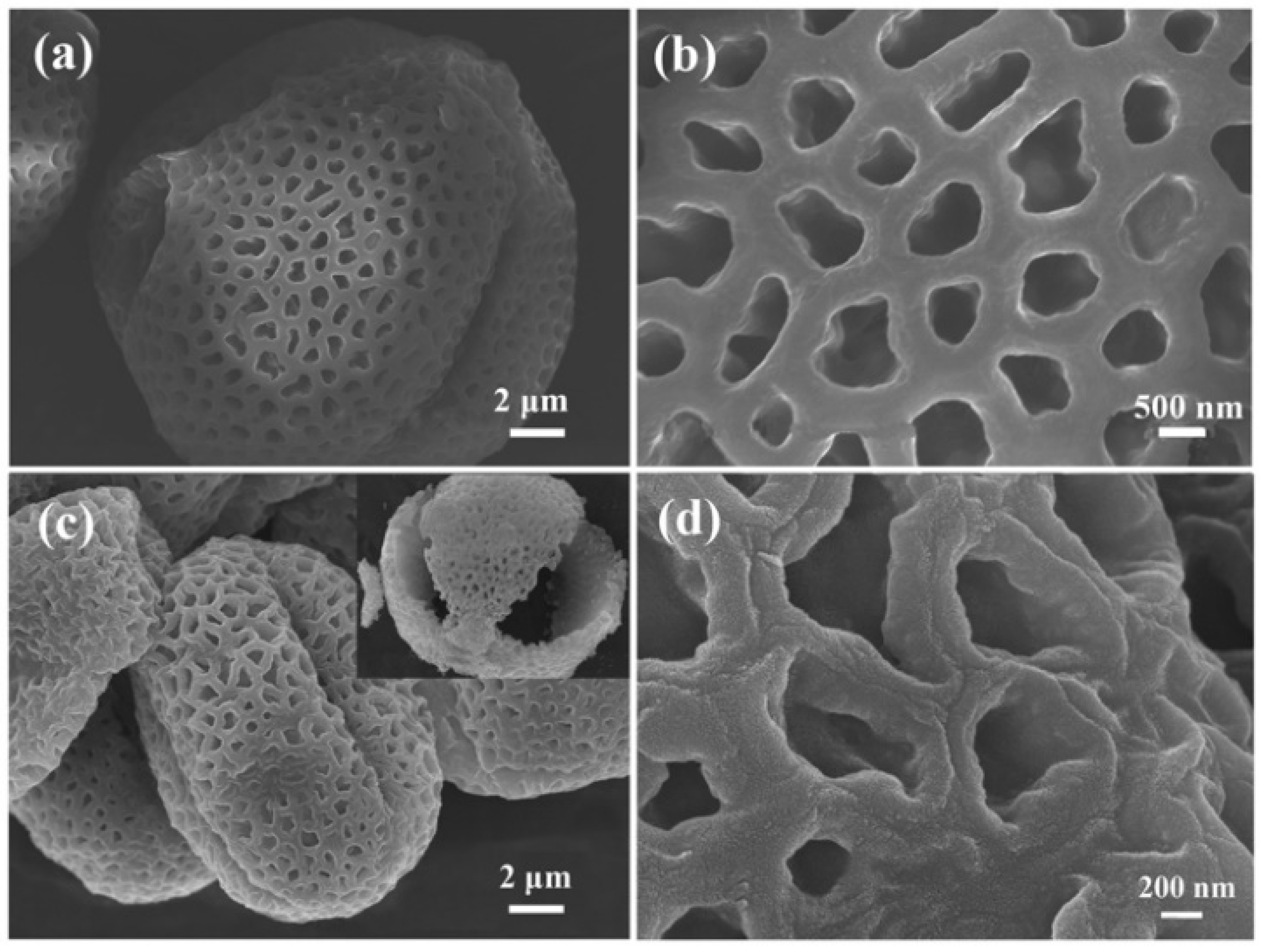 Nanomaterials 11 03355 g001 550