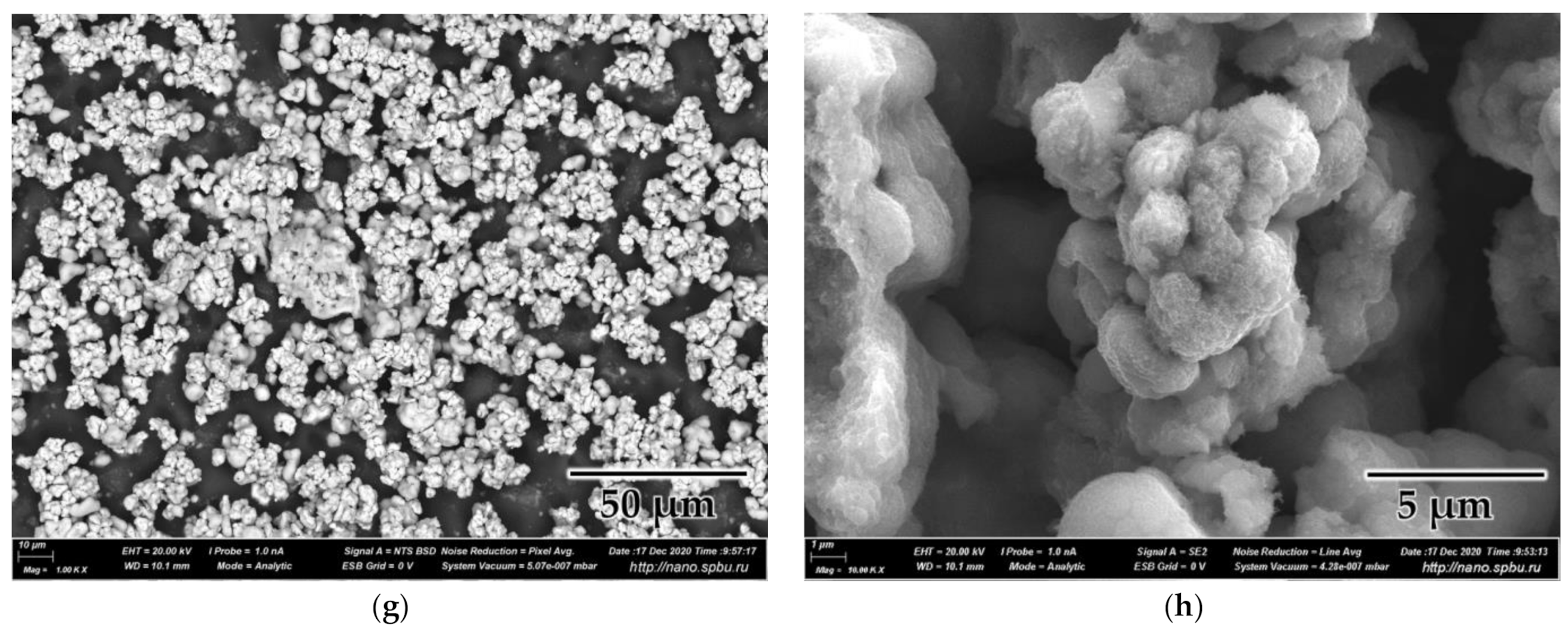 Nanomaterials 11 03356 g007b