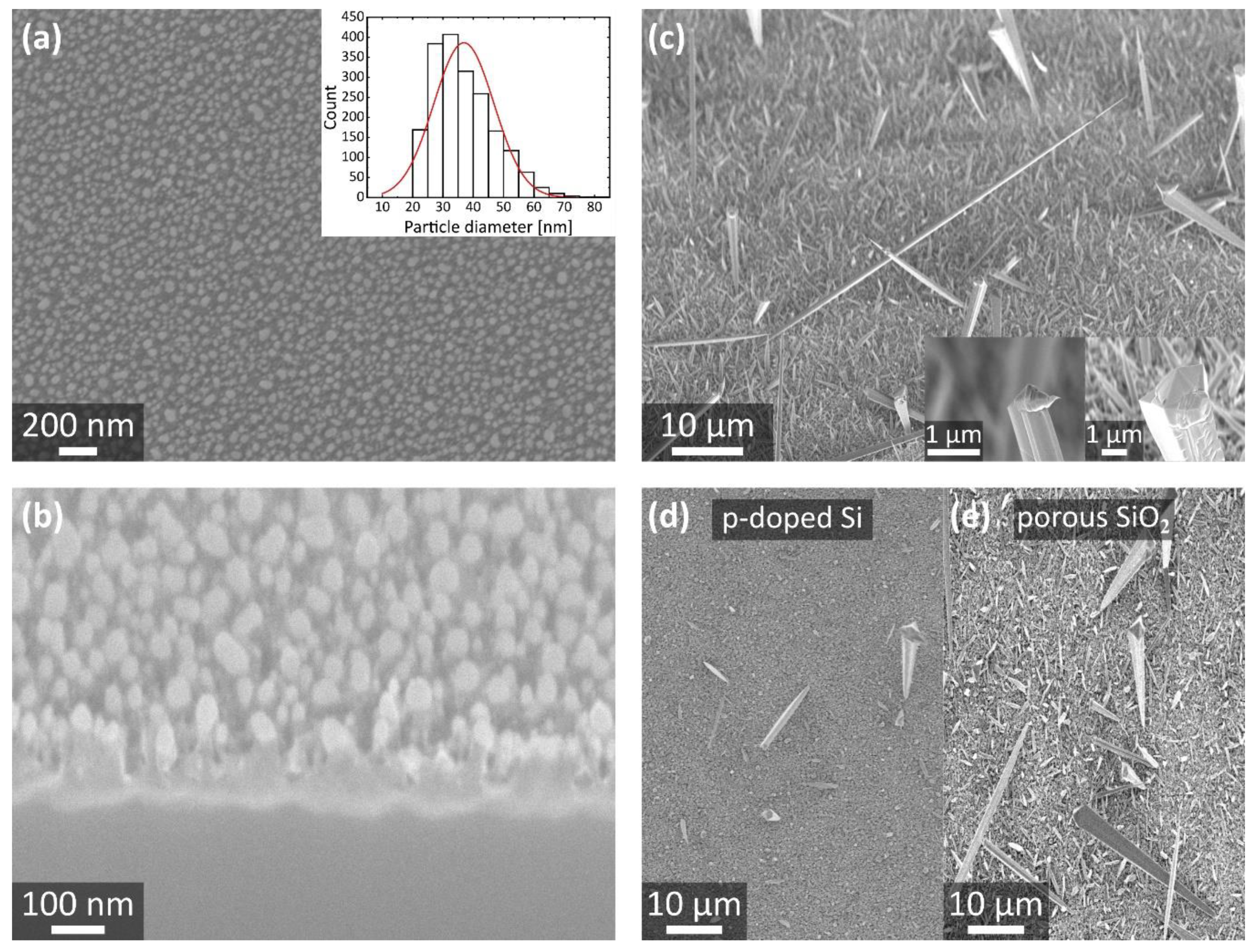Nanomaterials 11 03357 g003