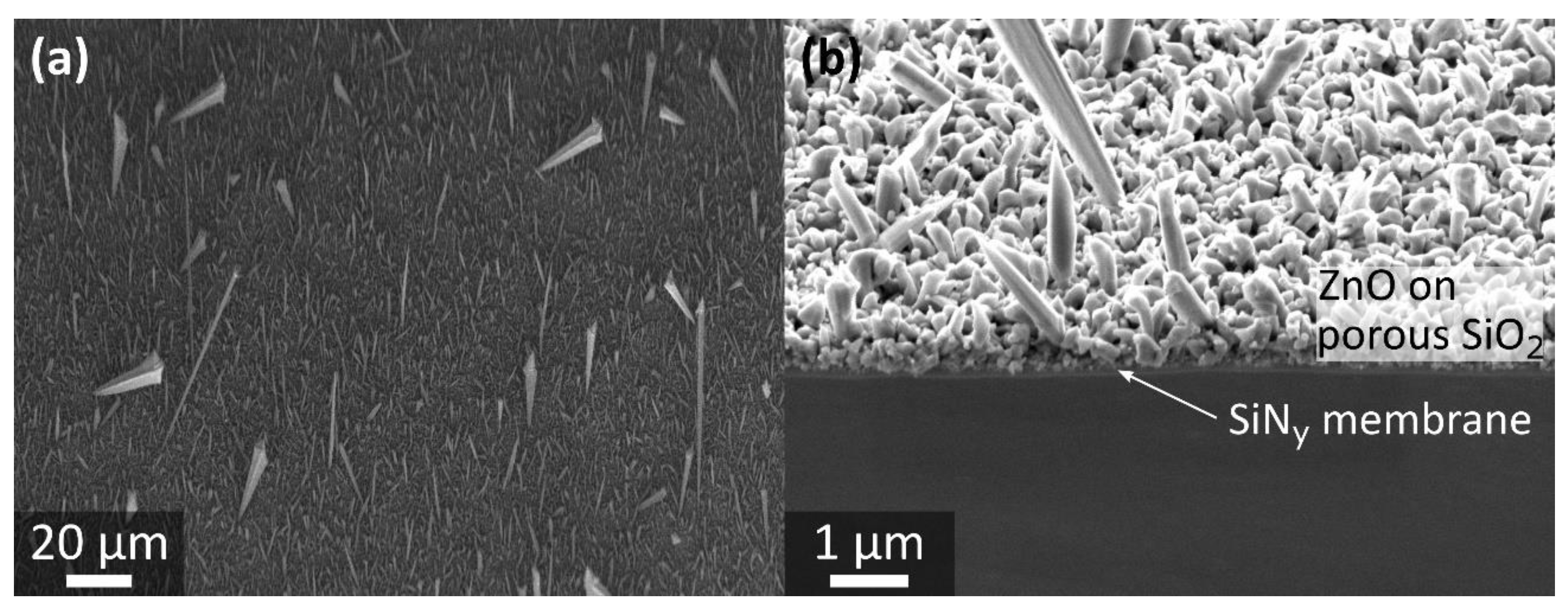 Nanomaterials 11 03357 g004