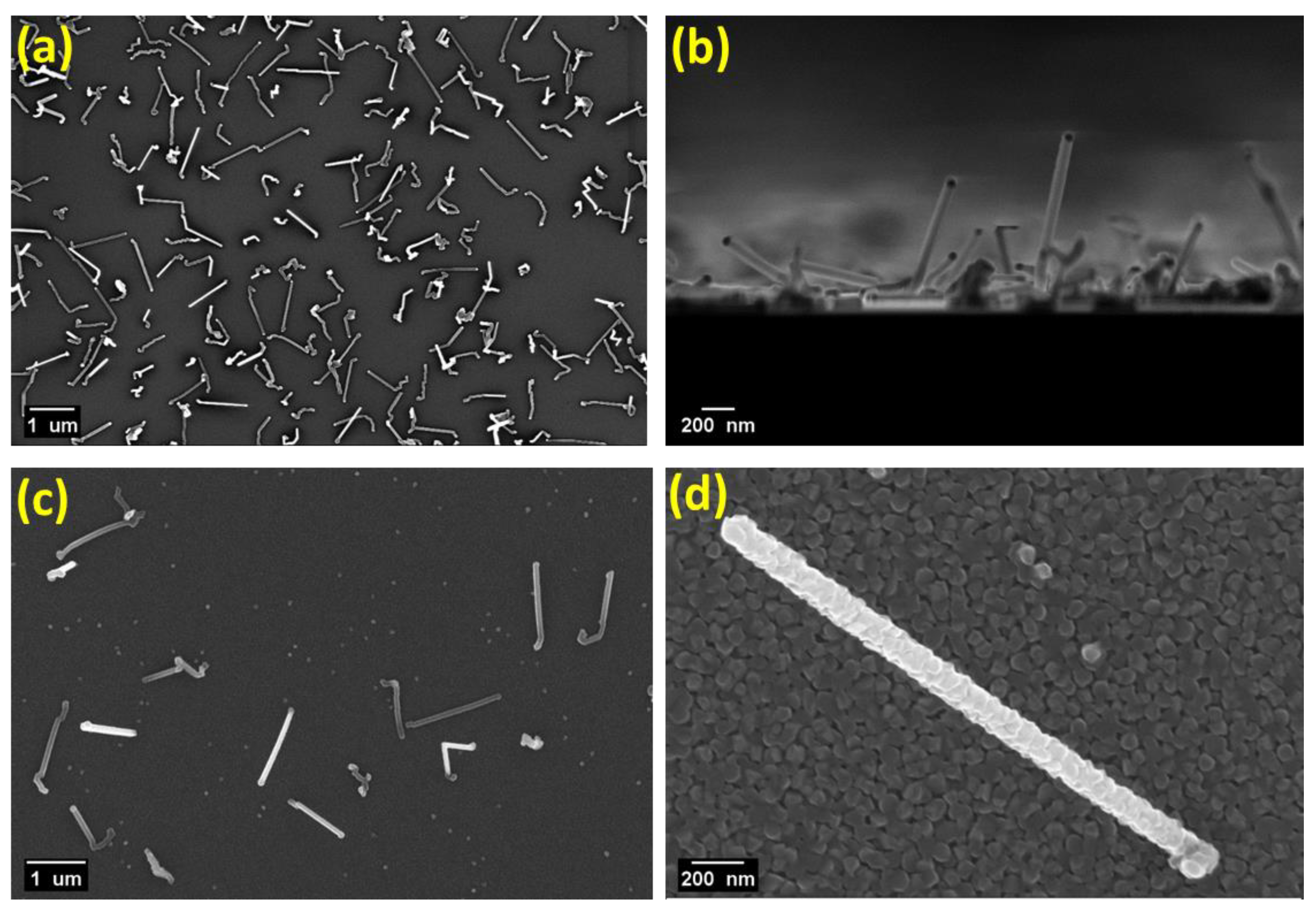 Nanomaterials 11 03358 g001