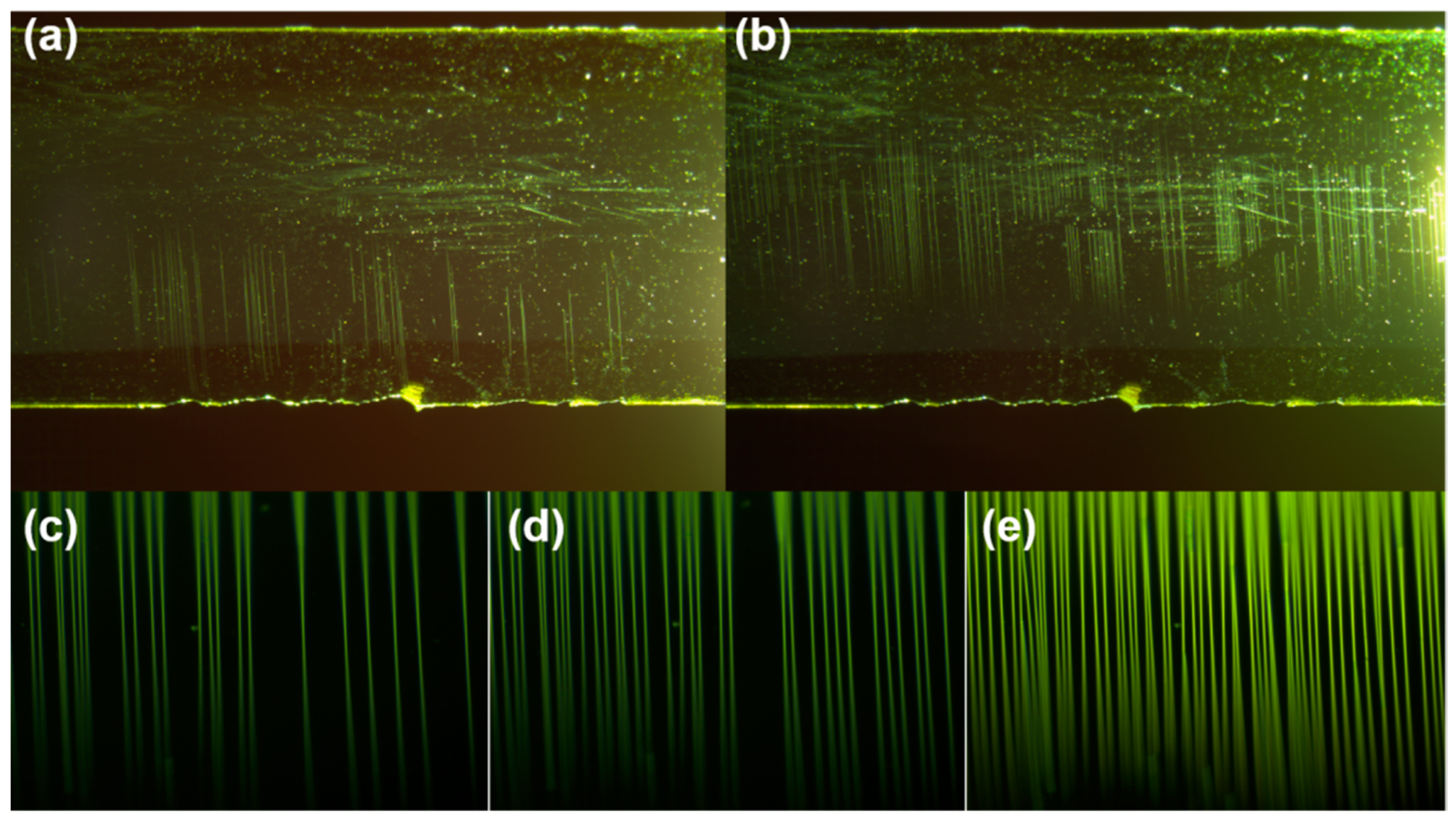 Nanomaterials 11 03363 g008 550