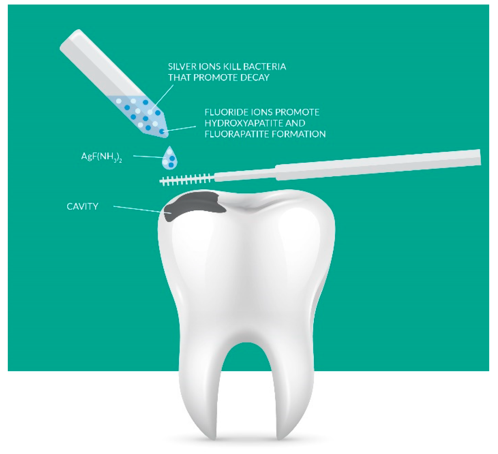 Nanomaterials 11 03374 g004 Nanomaterials 11 03374 g004